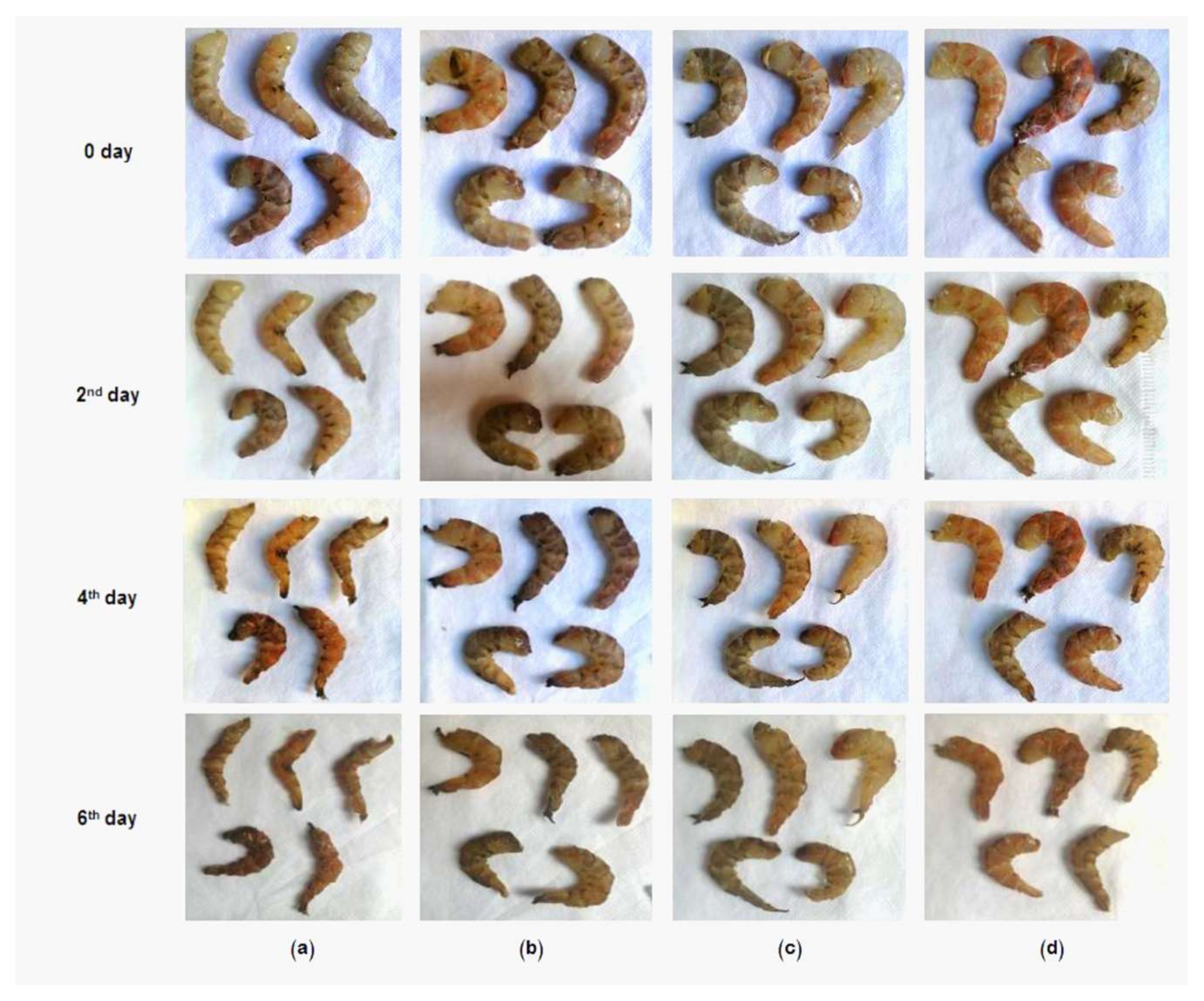 Nanomaterials 11 00385 g010