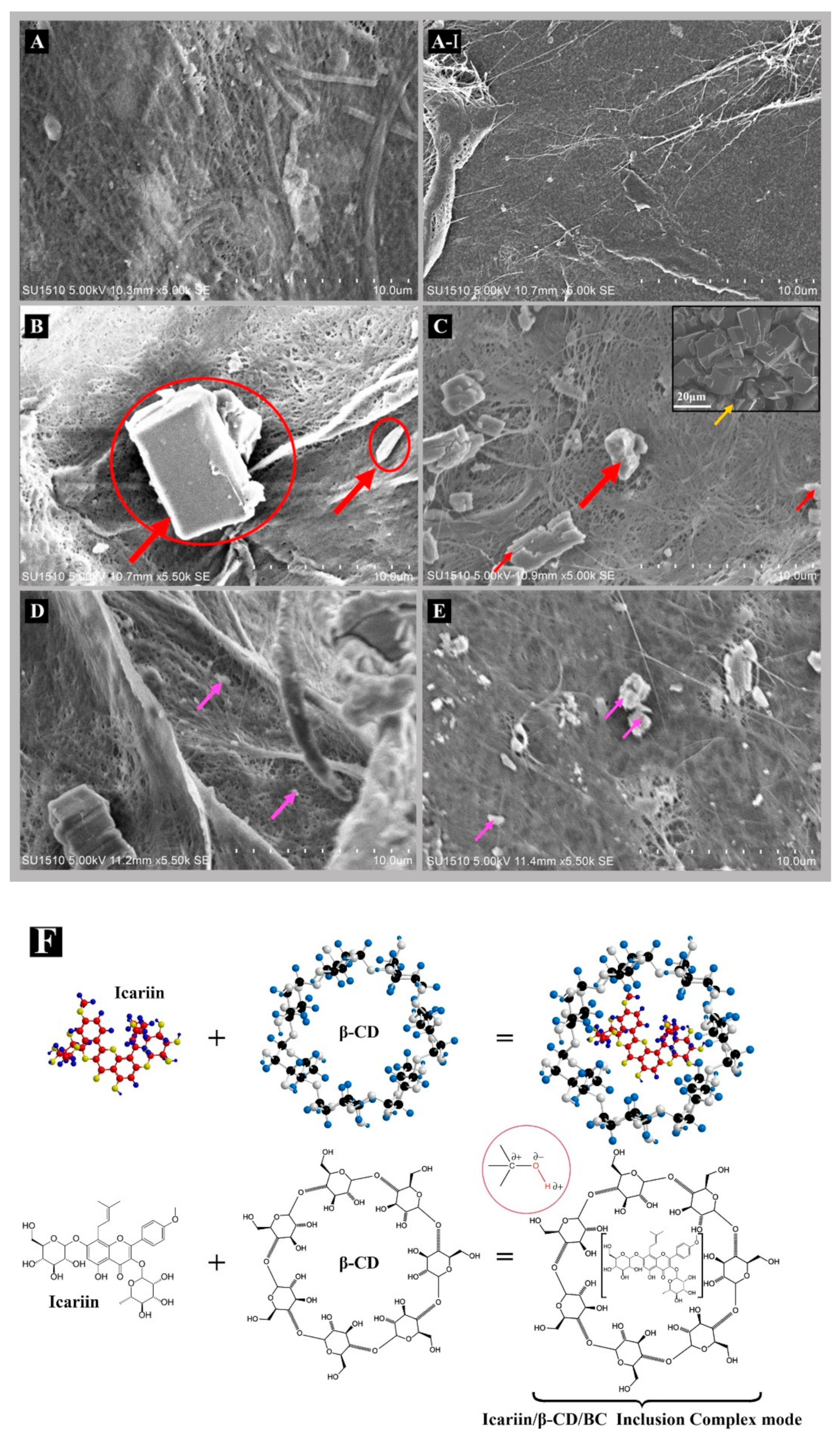 Nanomaterials 11 00387 g002