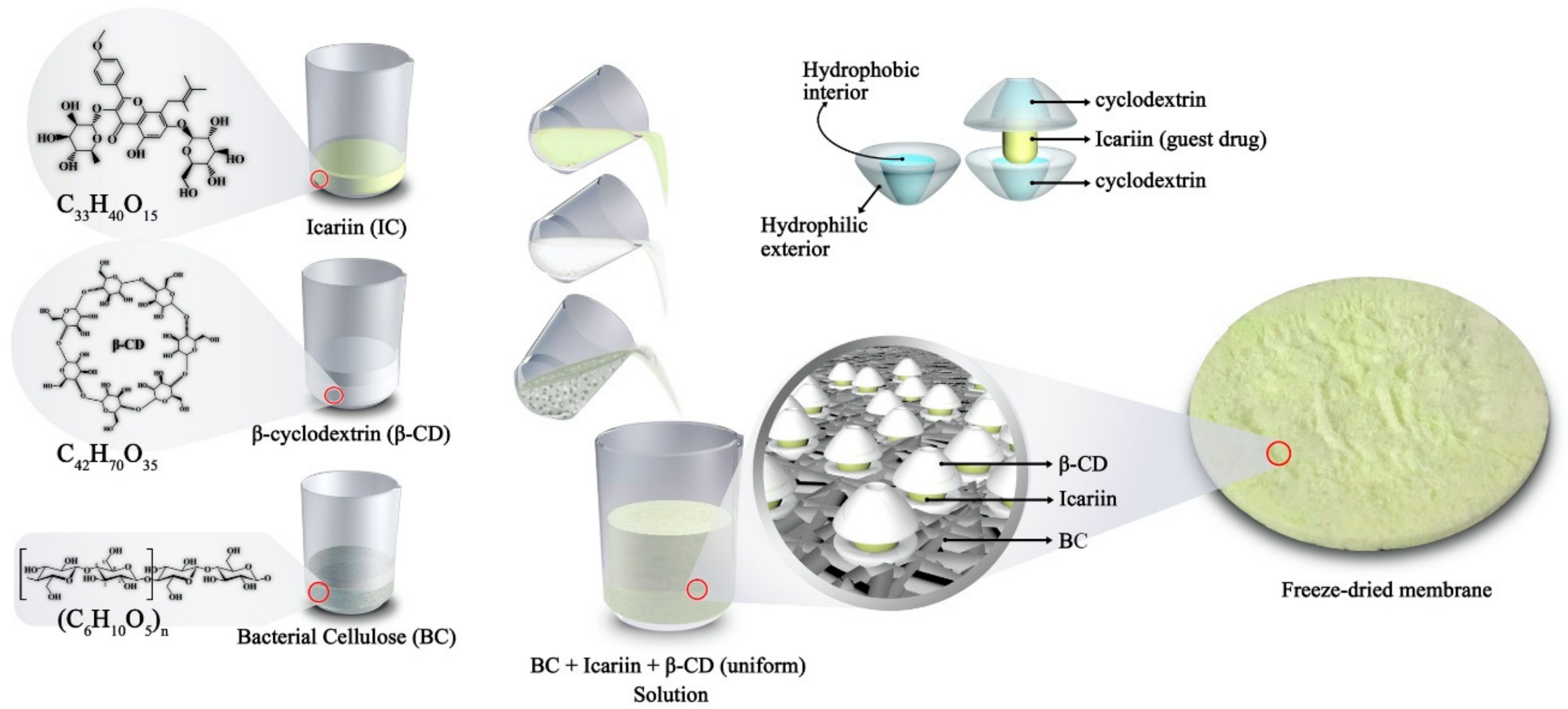 Nanomaterials 11 00387 sch001