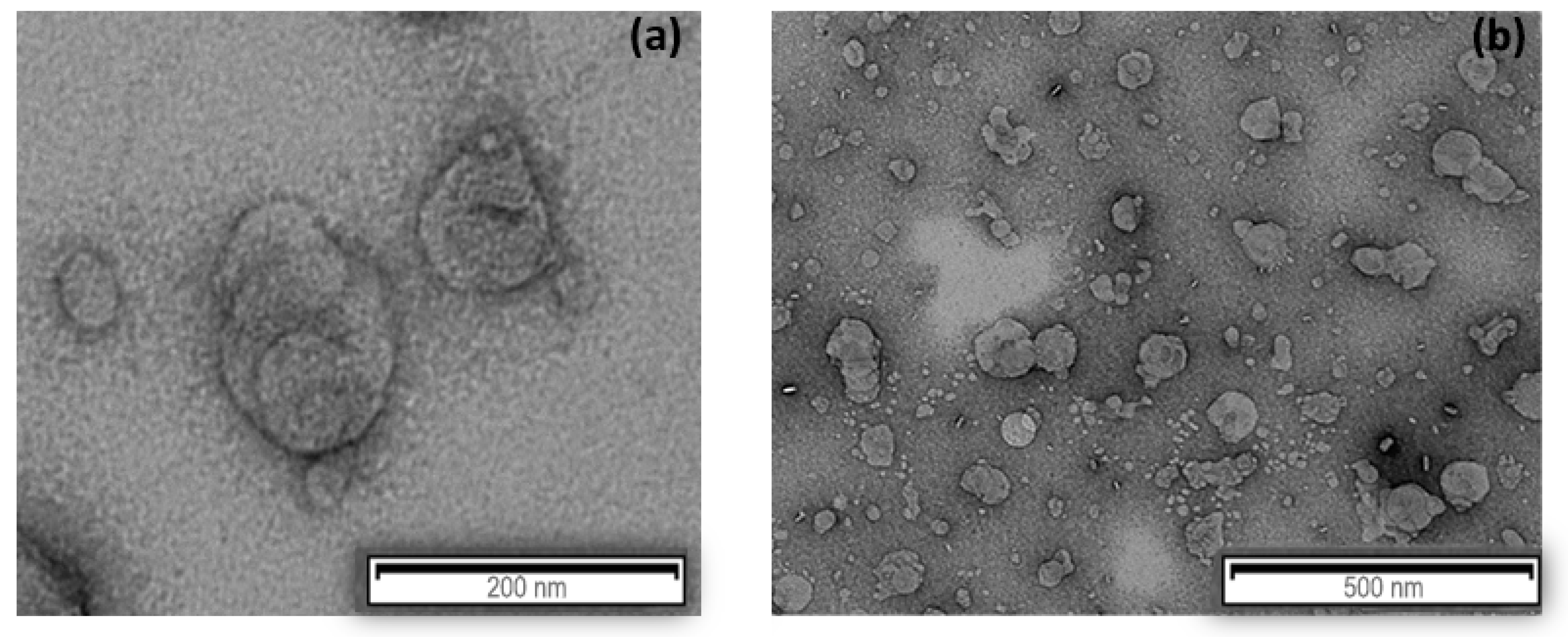 Nanomaterials 11 00391 g003 Nanomaterials 11 00391 g003