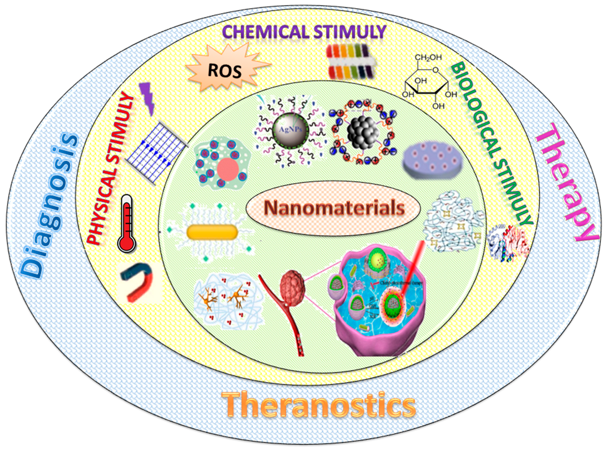 Nanomaterials 11 00396 g001