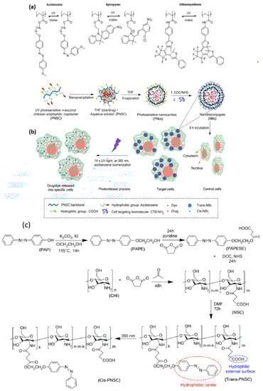 Nanomaterials 11 00396 g004