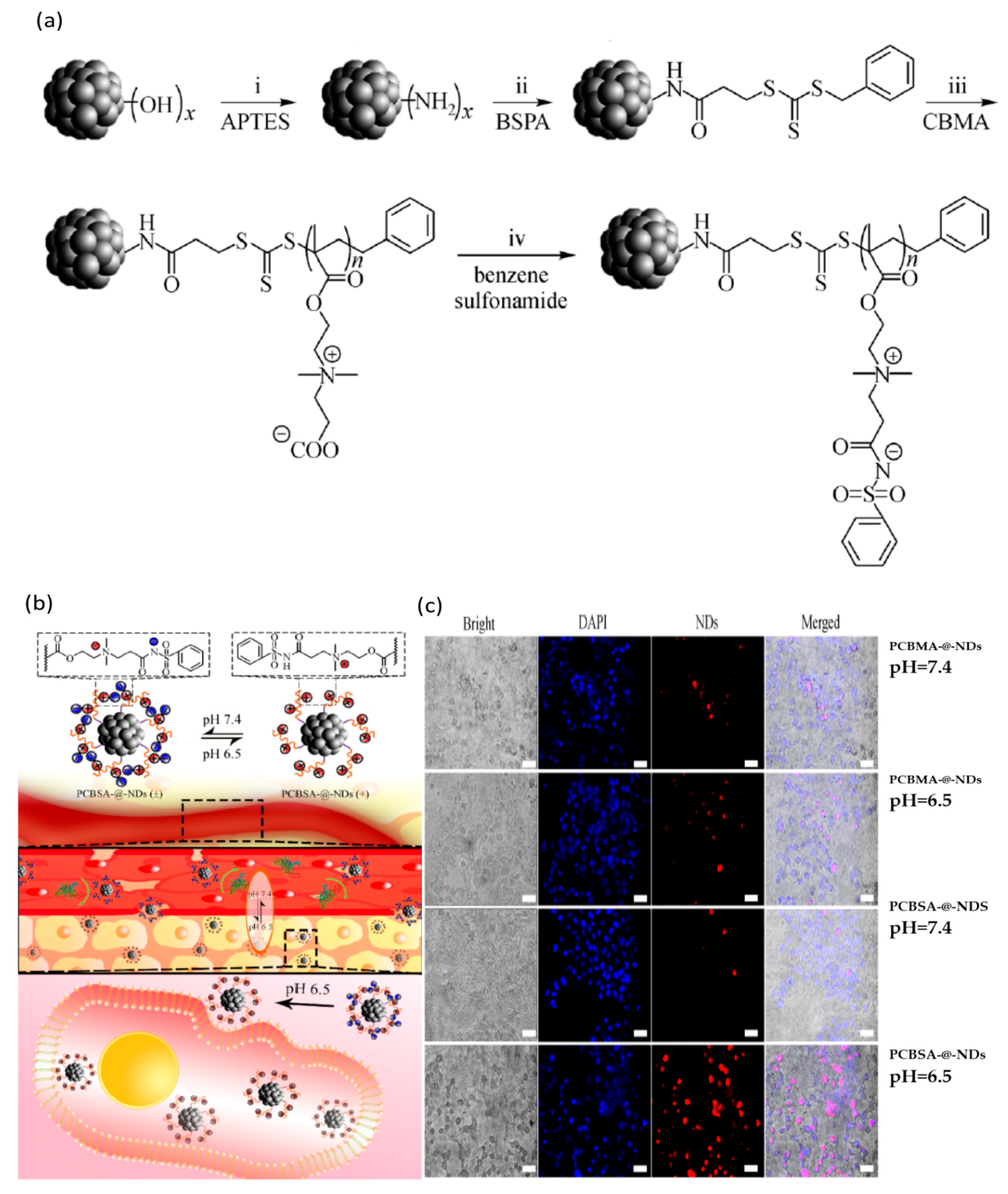 Nanomaterials 11 00396 g006