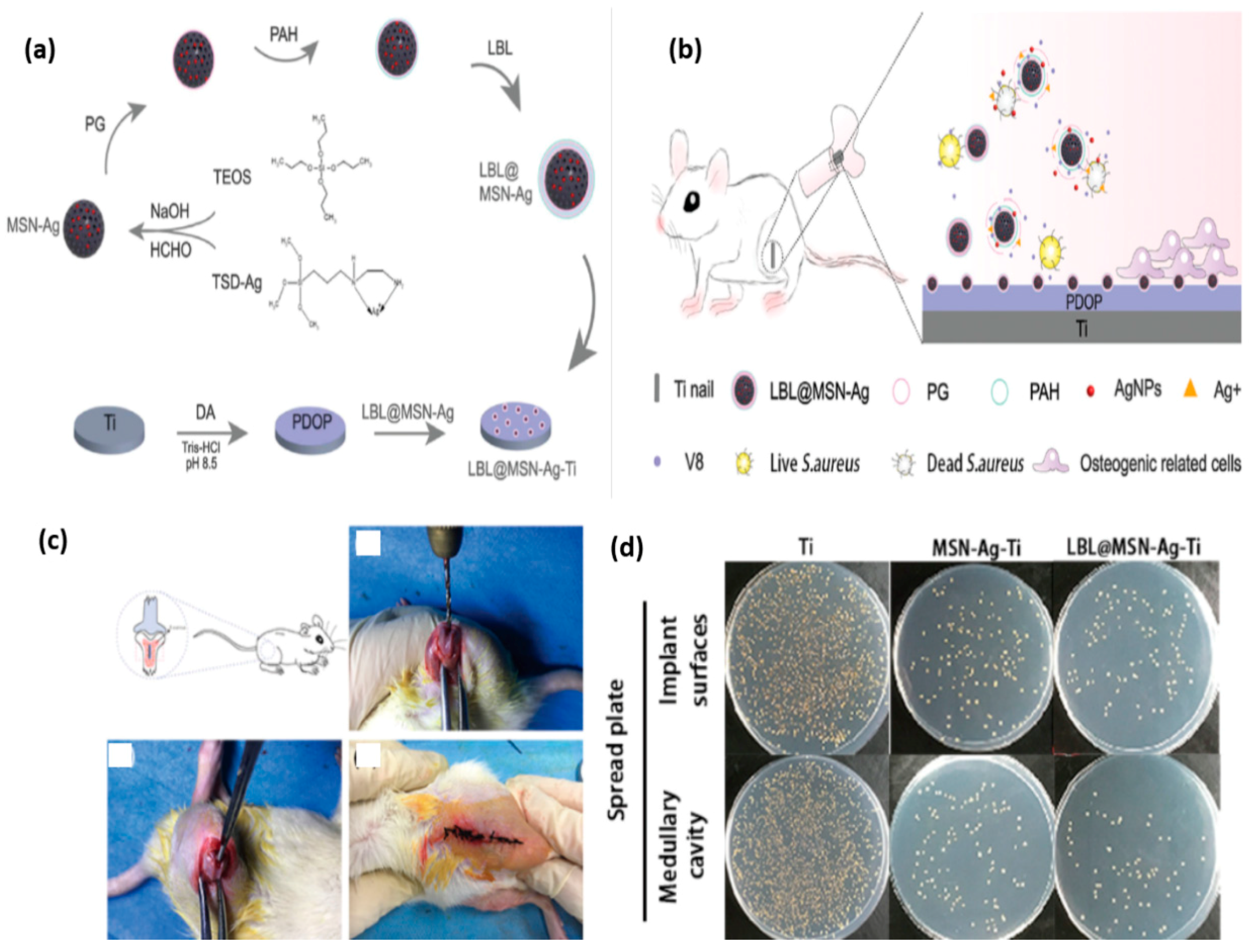 Nanomaterials 11 00396 g009
