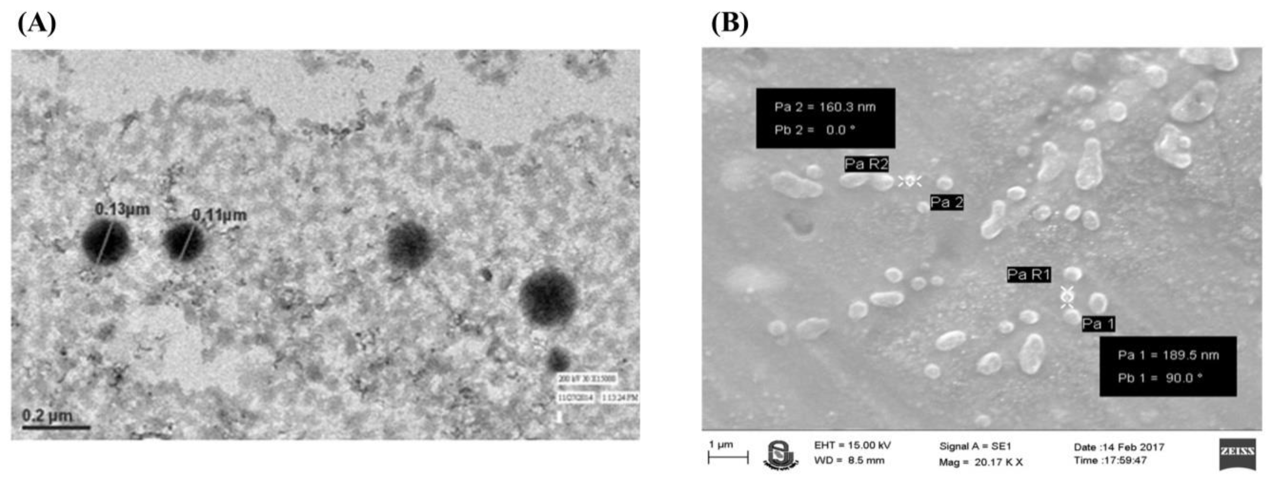 Nanomaterials 11 00406 g002 Nanomaterials 11 00406 g002