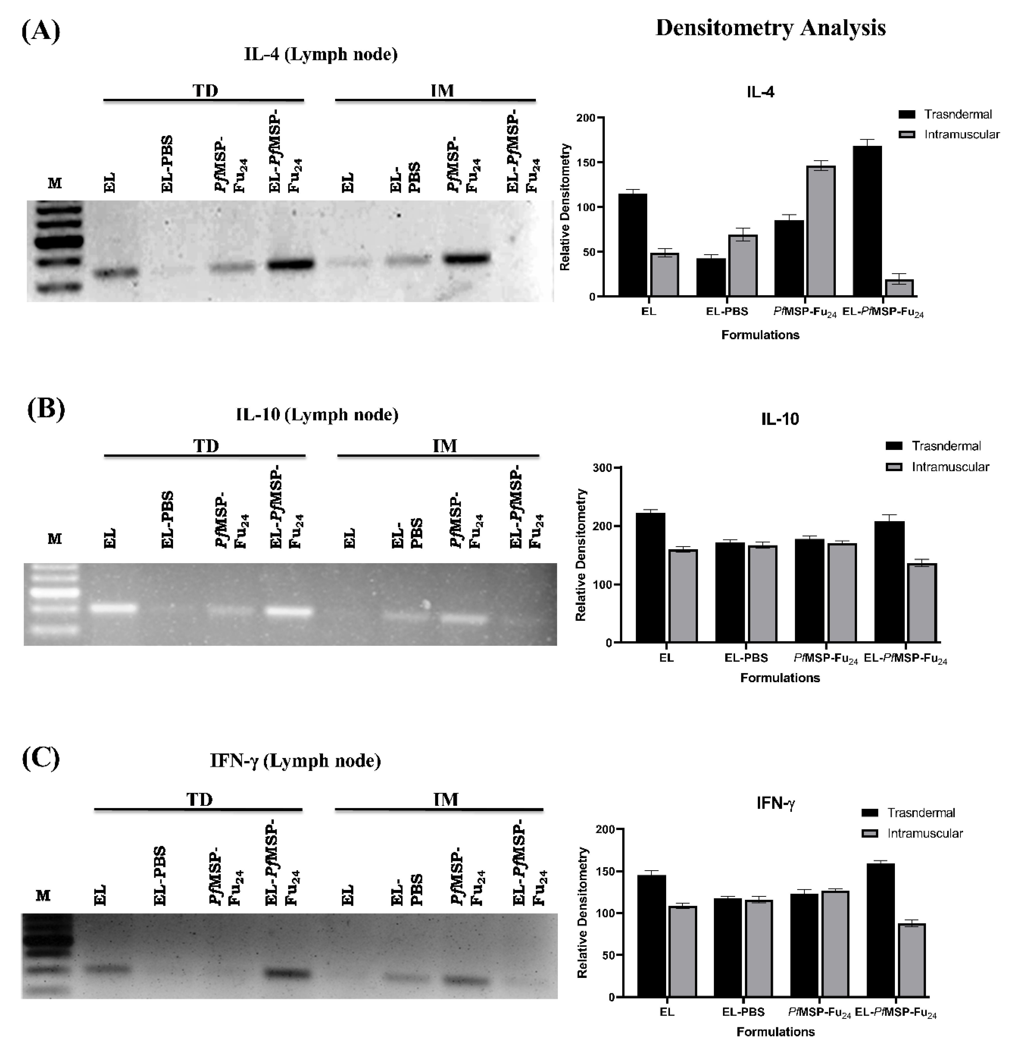 Nanomaterials 11 00406 g003 Nanomaterials 11 00406 g003