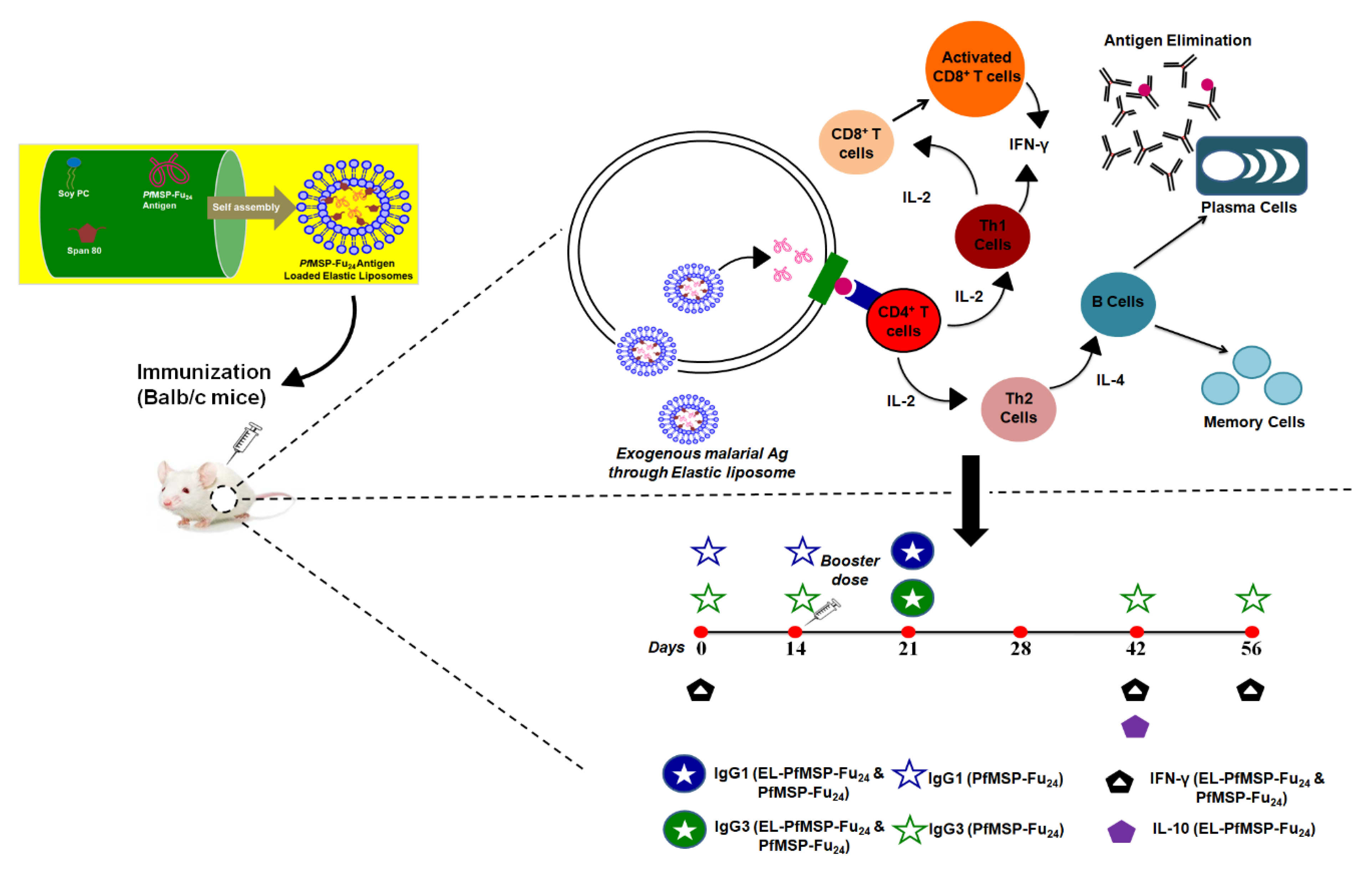 Nanomaterials 11 00406 sch001 Nanomaterials 11 00406 sch001