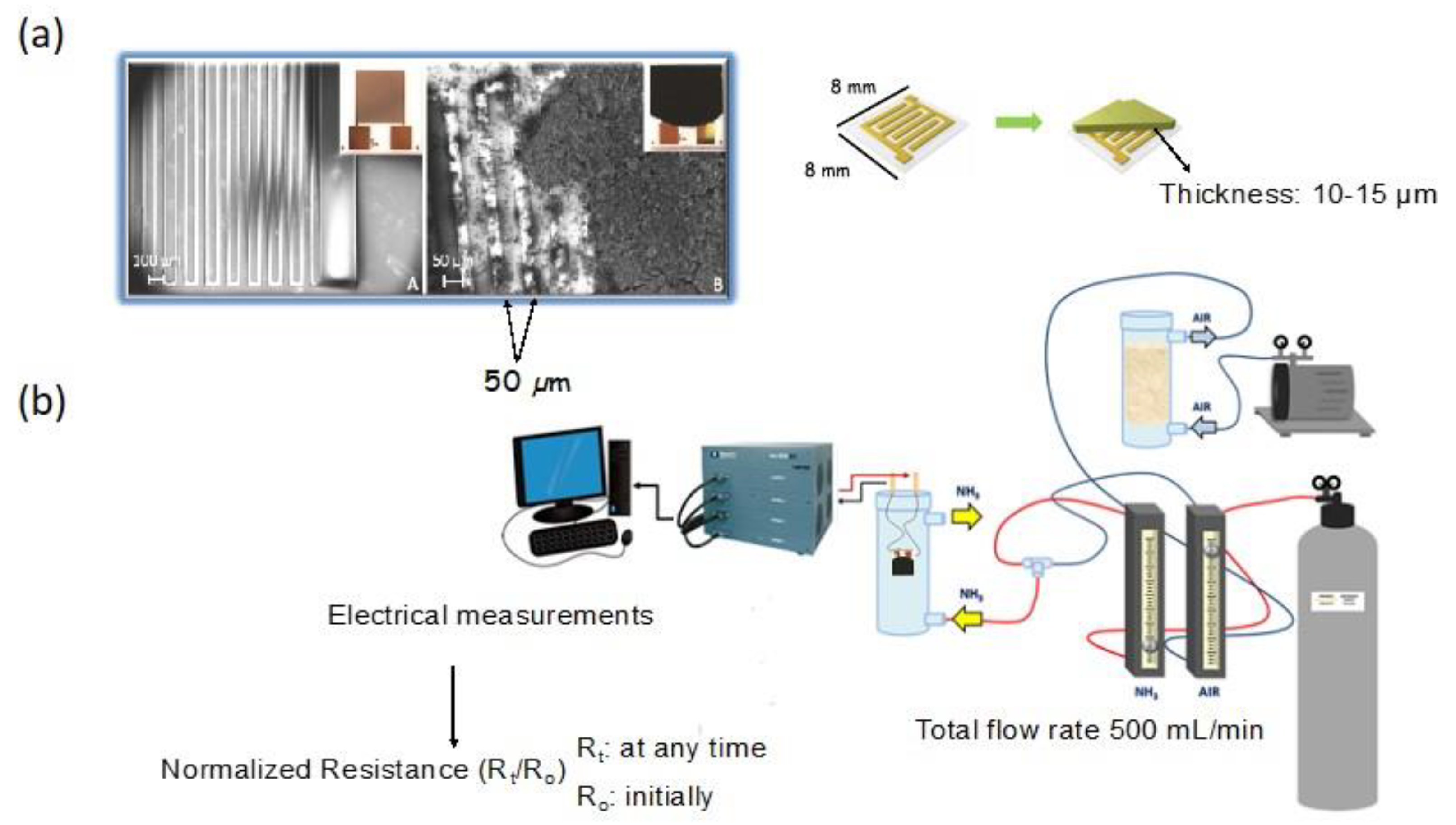 Nanomaterials 11 00407 g001 Nanomaterials 11 00407 g001