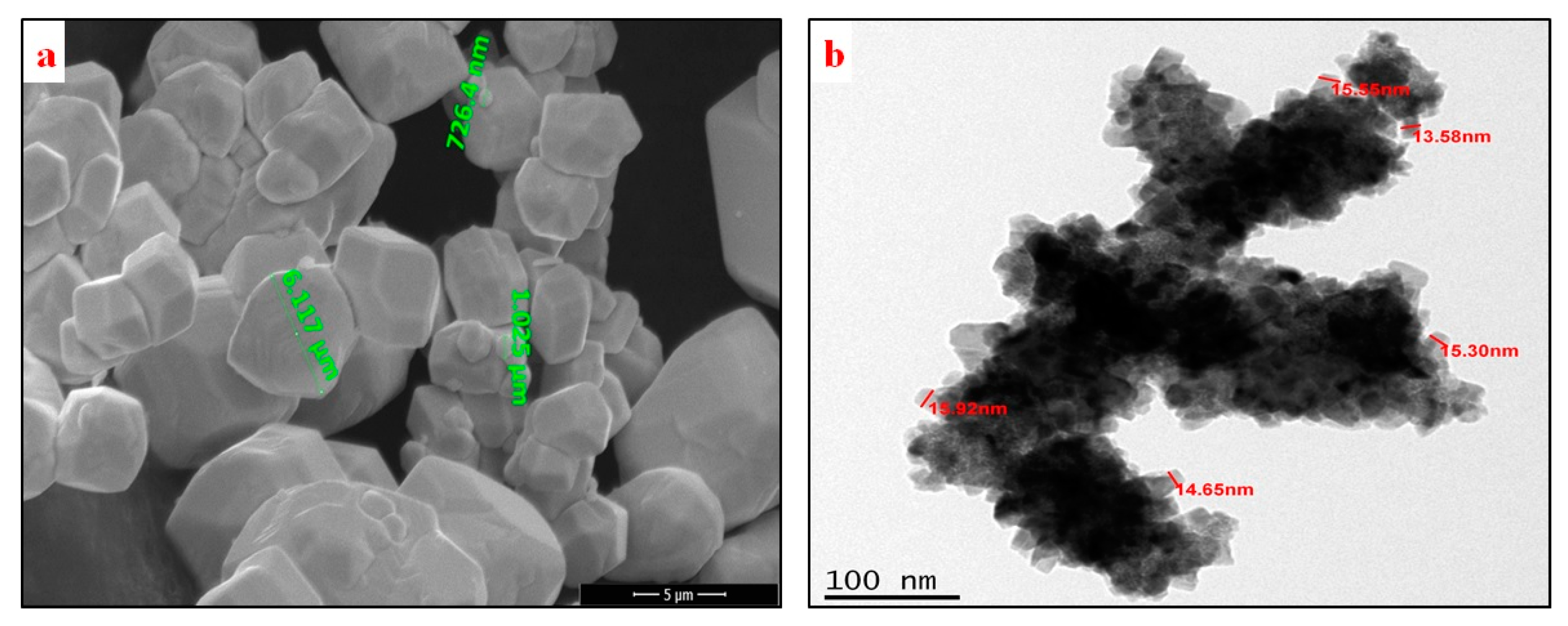 Nanomaterials 11 00413 g001