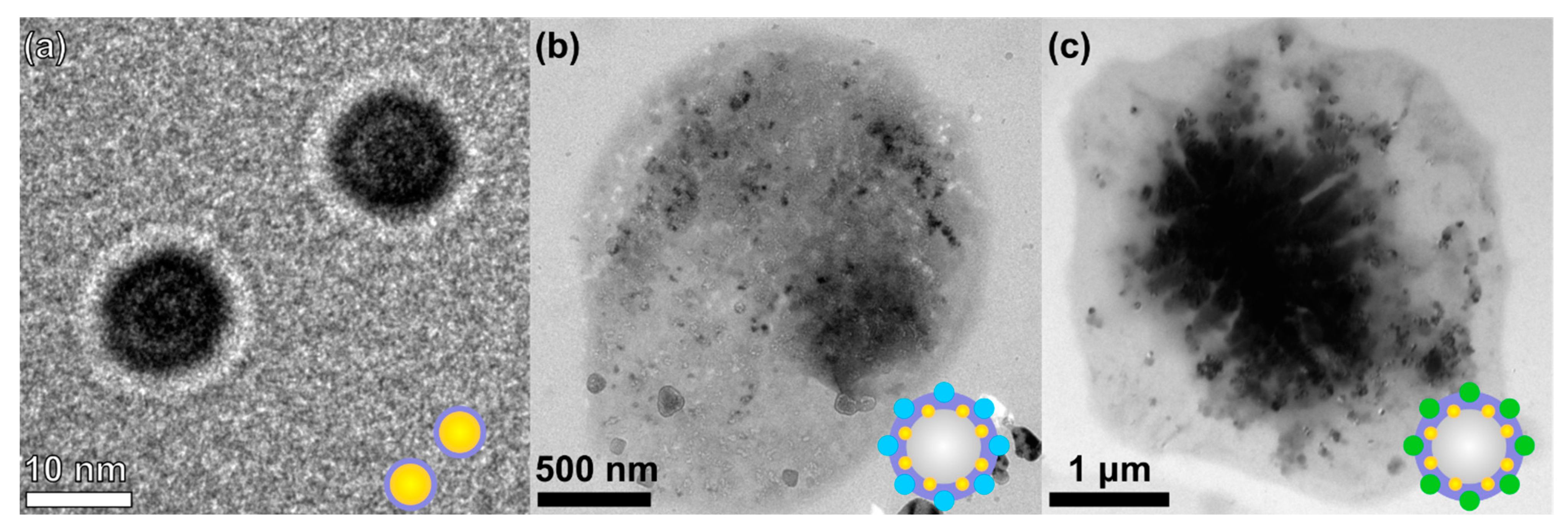 Nanomaterials 11 00415 g003