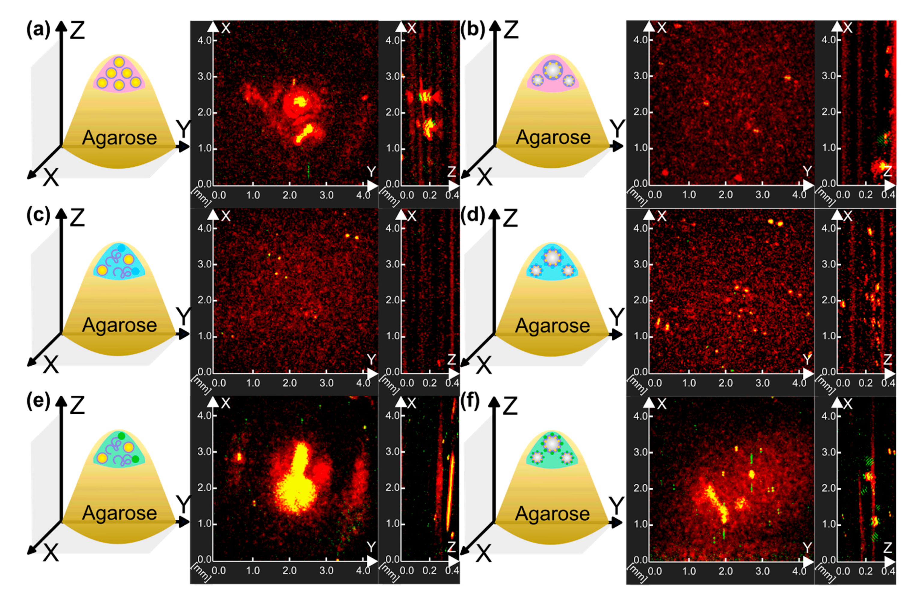 Nanomaterials 11 00415 g008