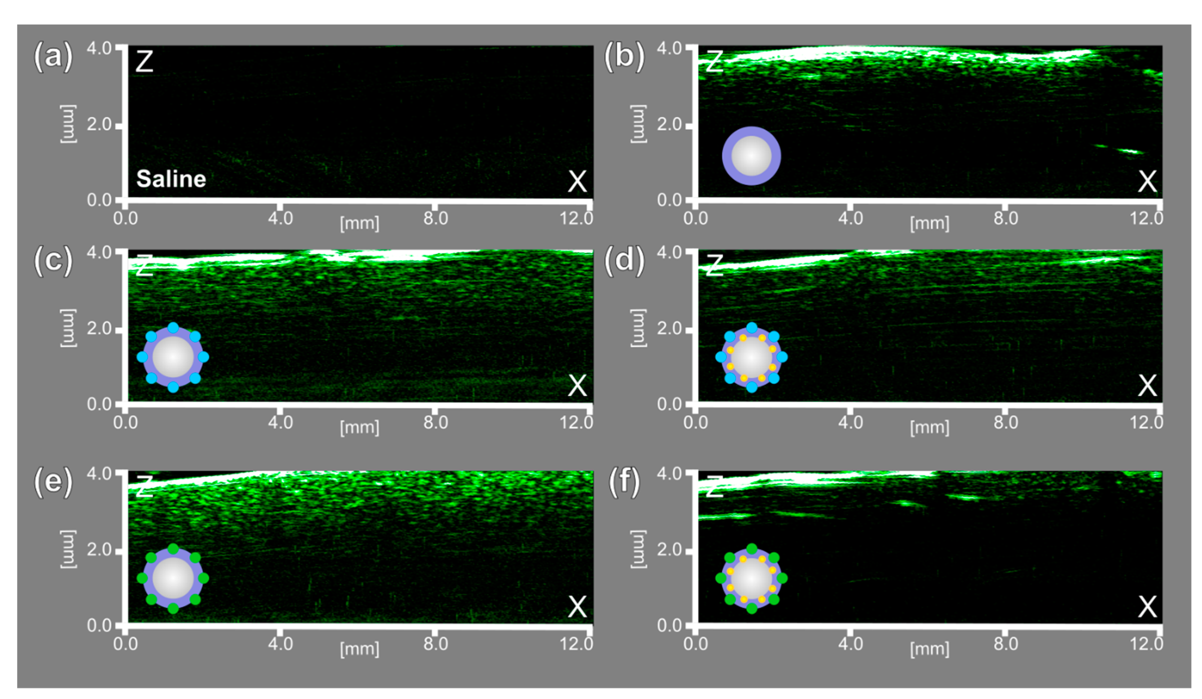 Nanomaterials 11 00415 g009