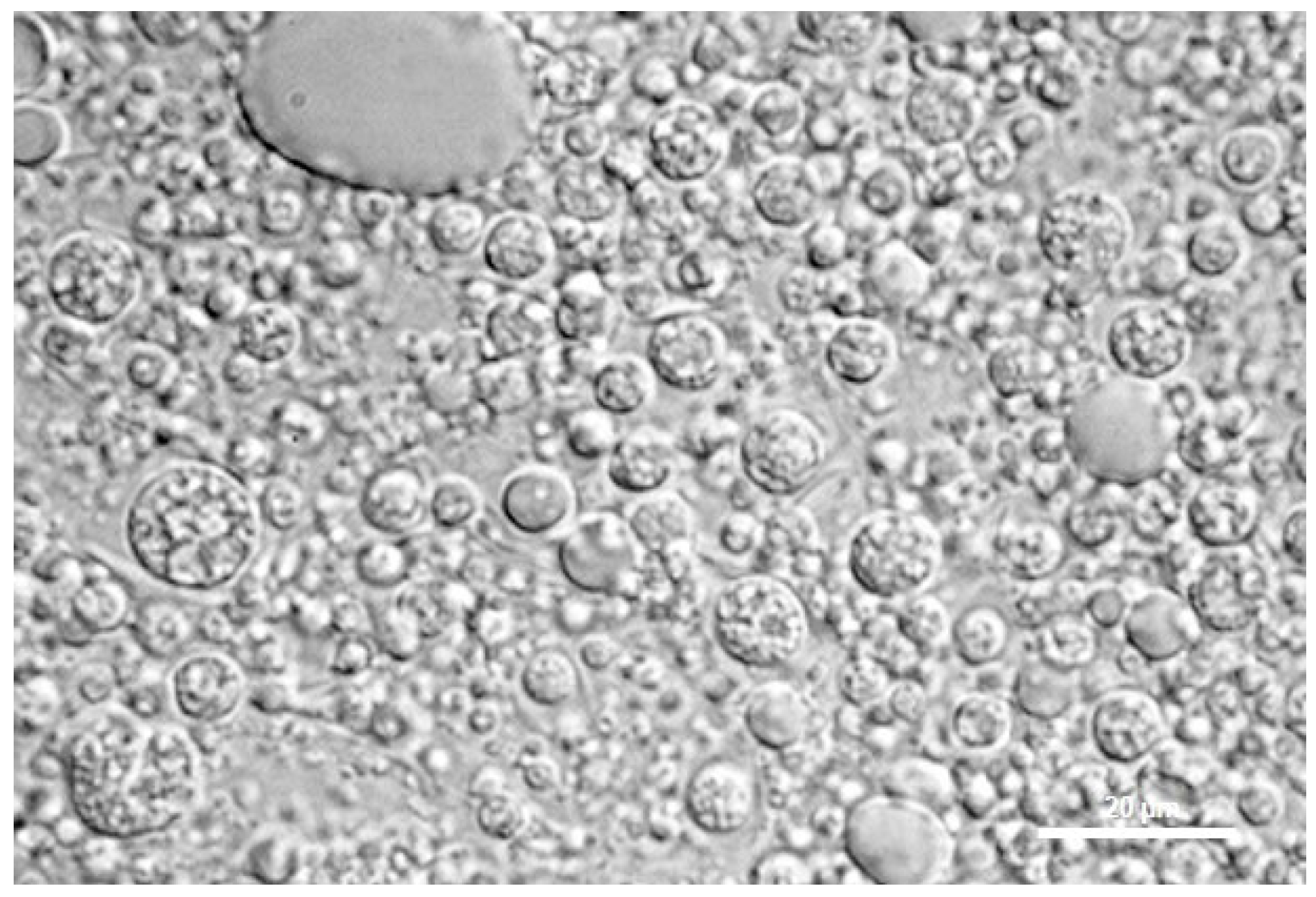 Nanomaterials 11 00425 g001 Nanomaterials 11 00425 g001