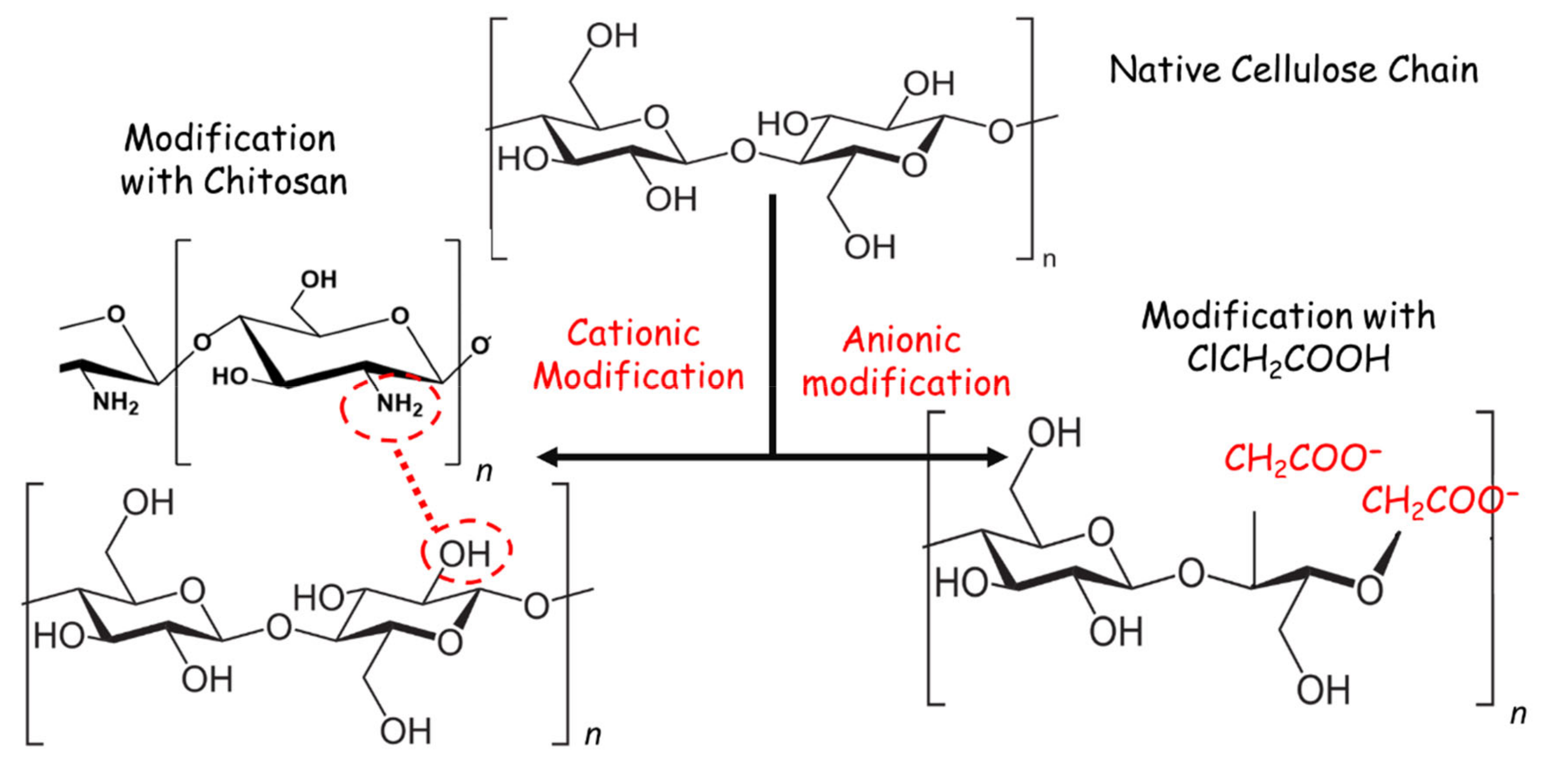 Nanomaterials 11 00429 g001 Nanomaterials 11 00429 g001