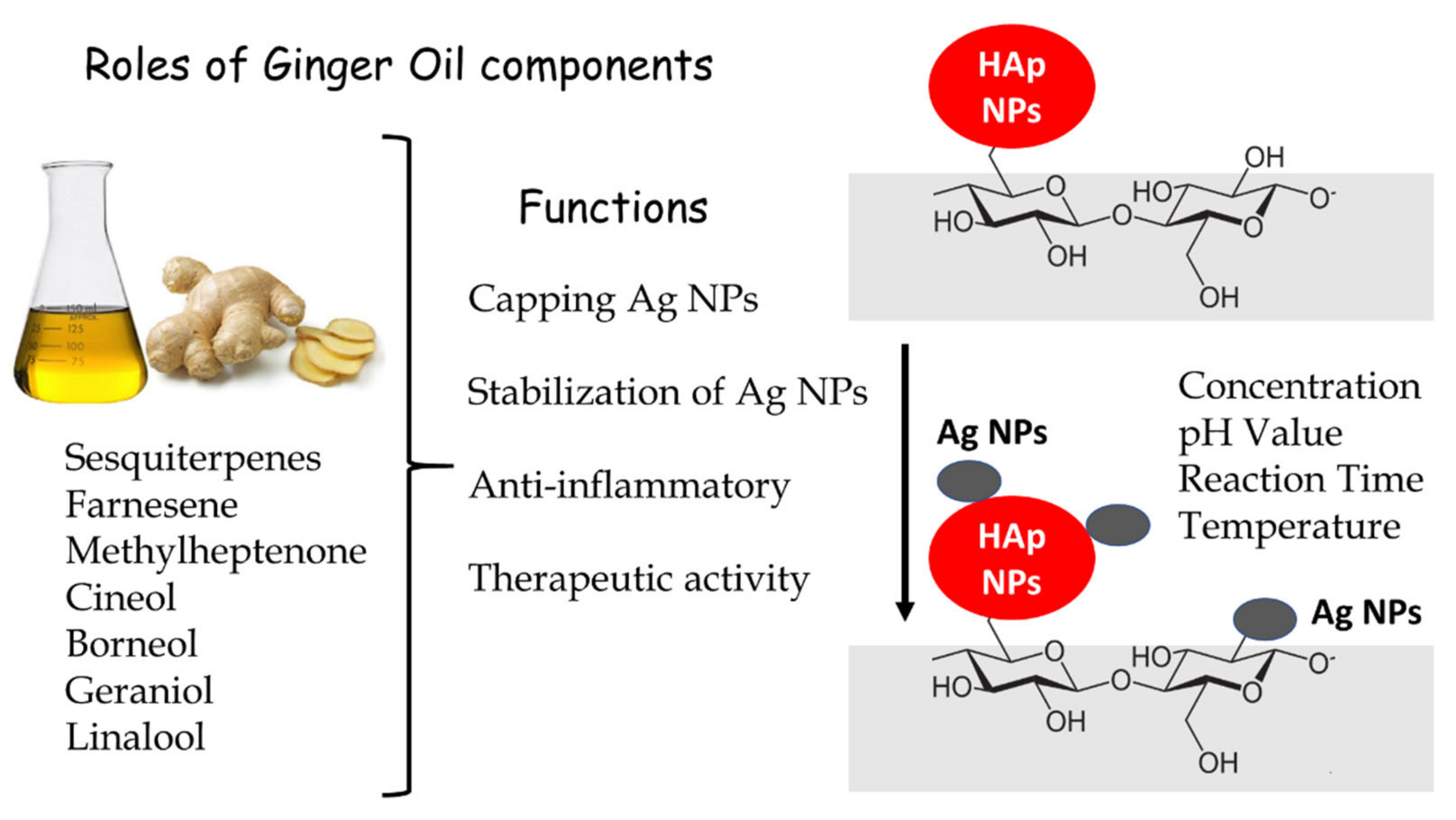 Nanomaterials 11 00429 g004 Nanomaterials 11 00429 g004