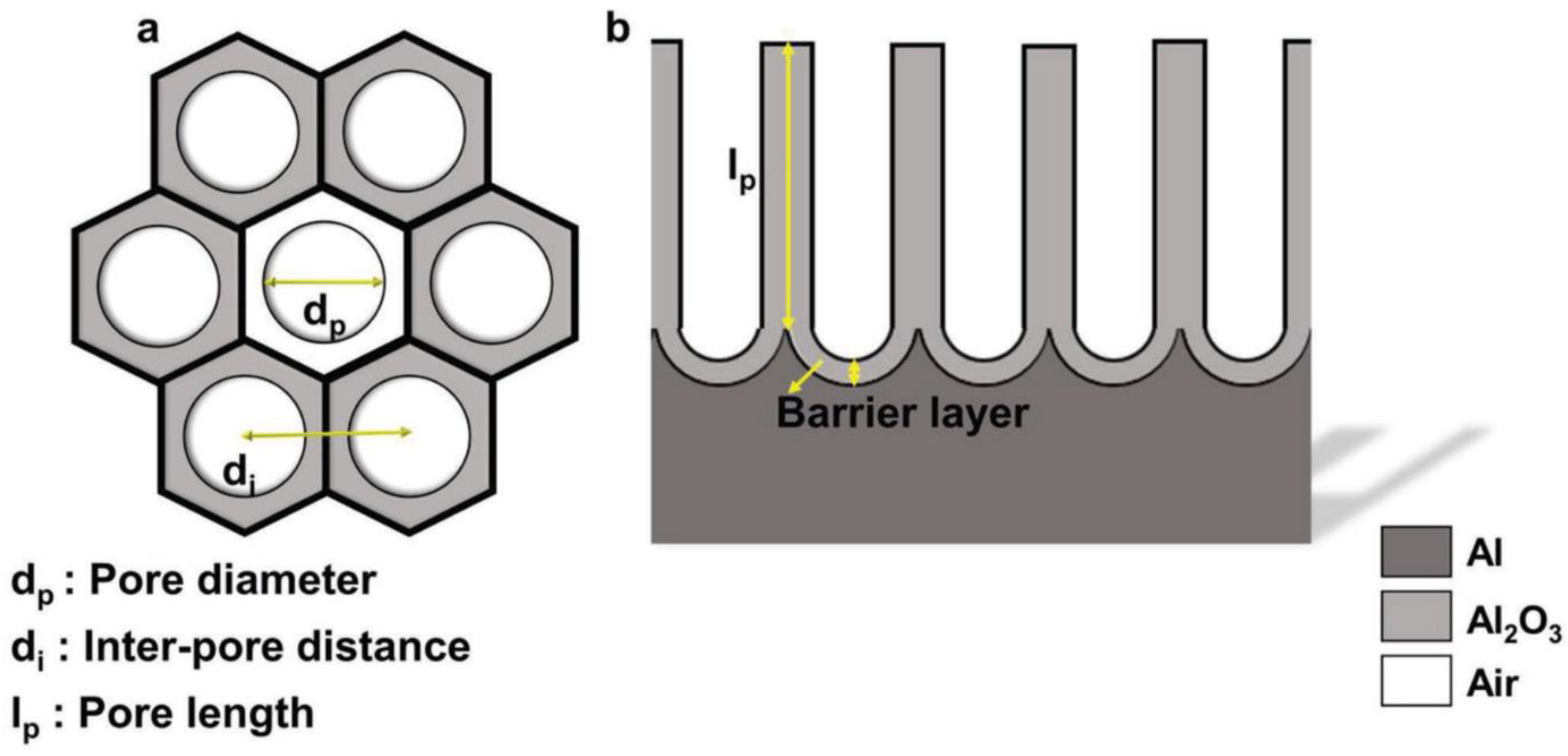 Nanomaterials 11 00430 g001