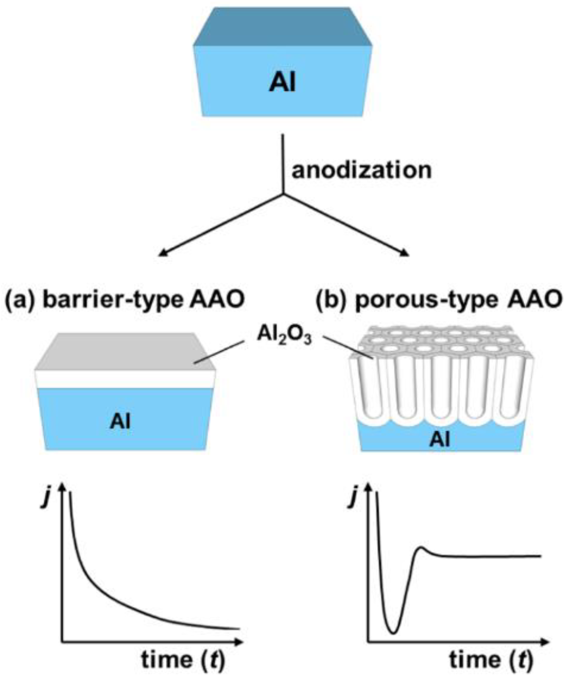 Nanomaterials 11 00430 g002