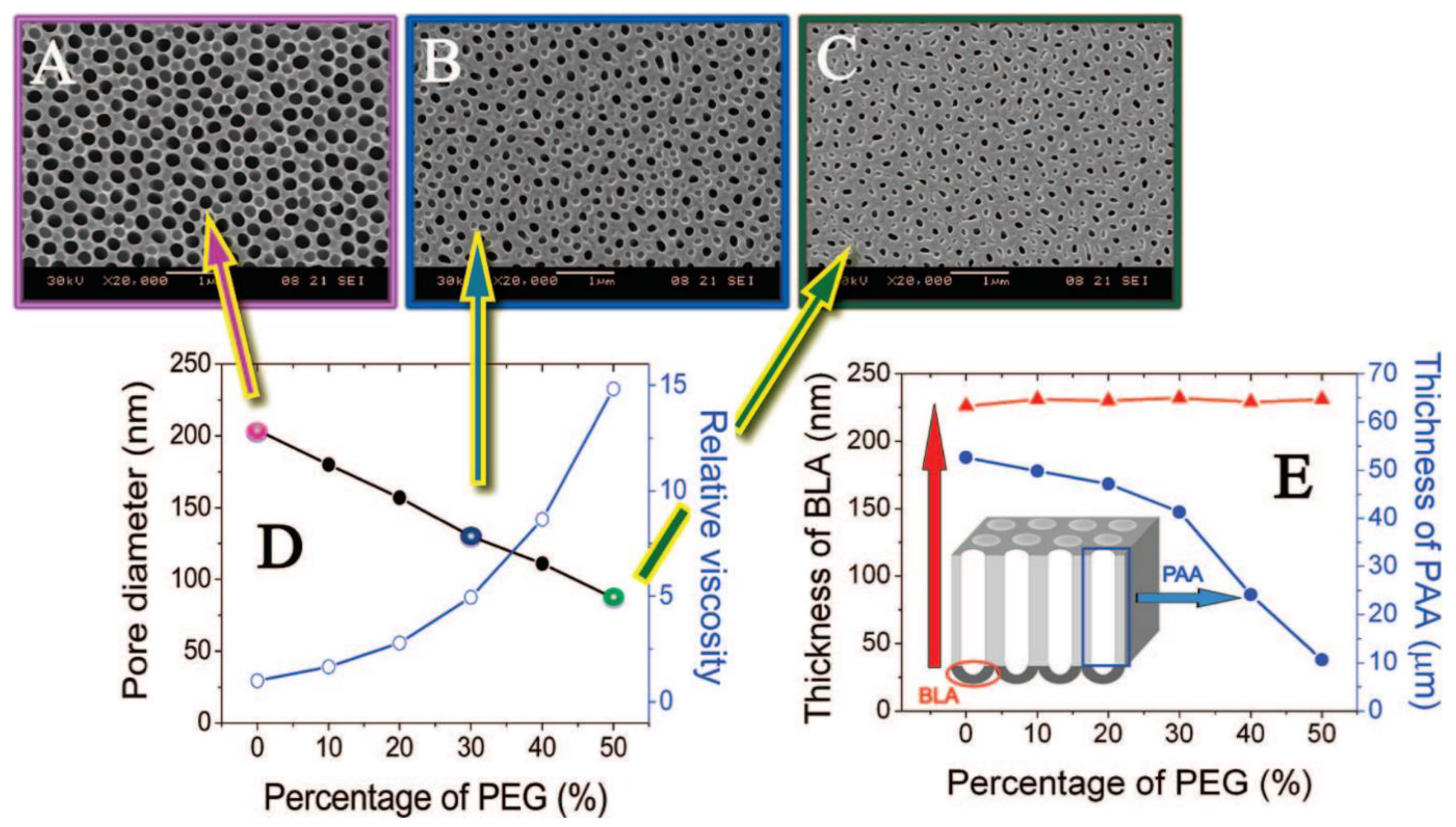 Nanomaterials 11 00430 g005