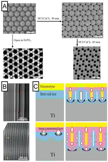 Nanomaterials 11 00430 g007