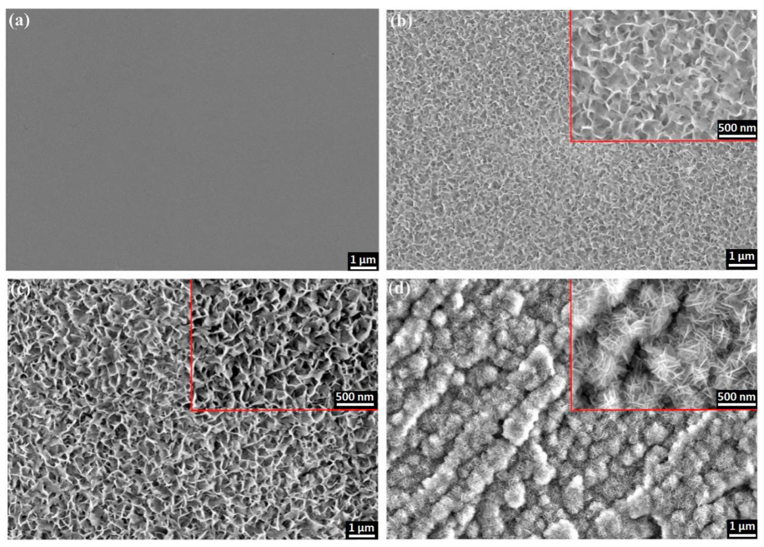 Nanomaterials 11 00430 g008