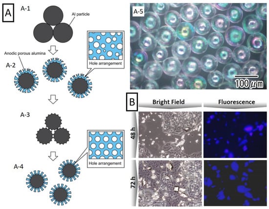 Nanomaterials 11 00430 g010