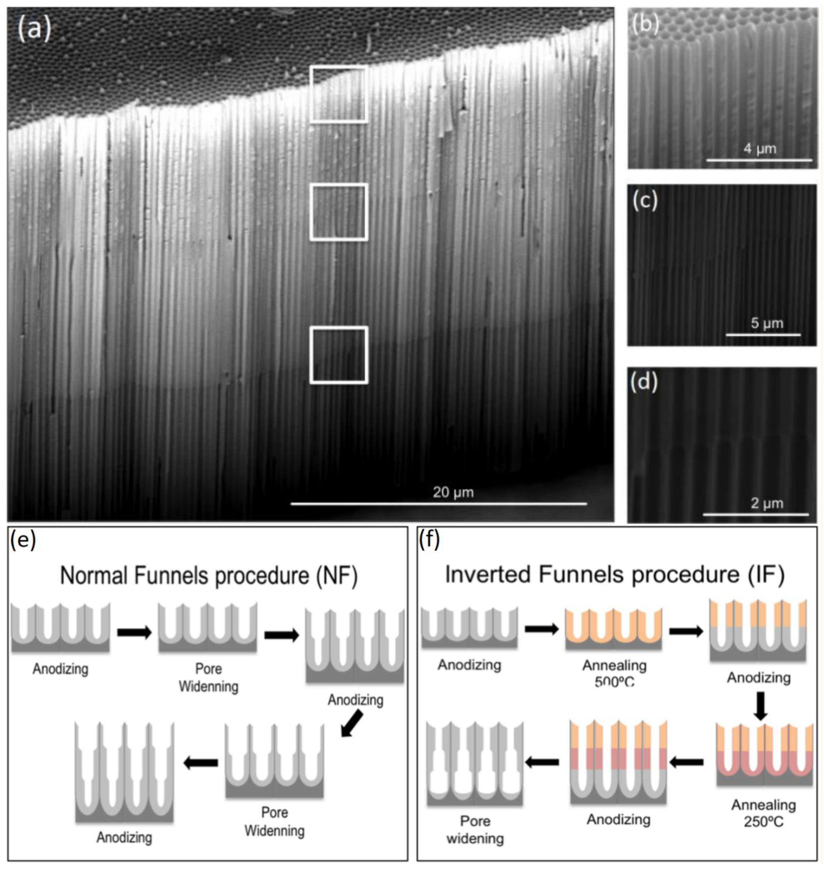 Nanomaterials 11 00430 g011