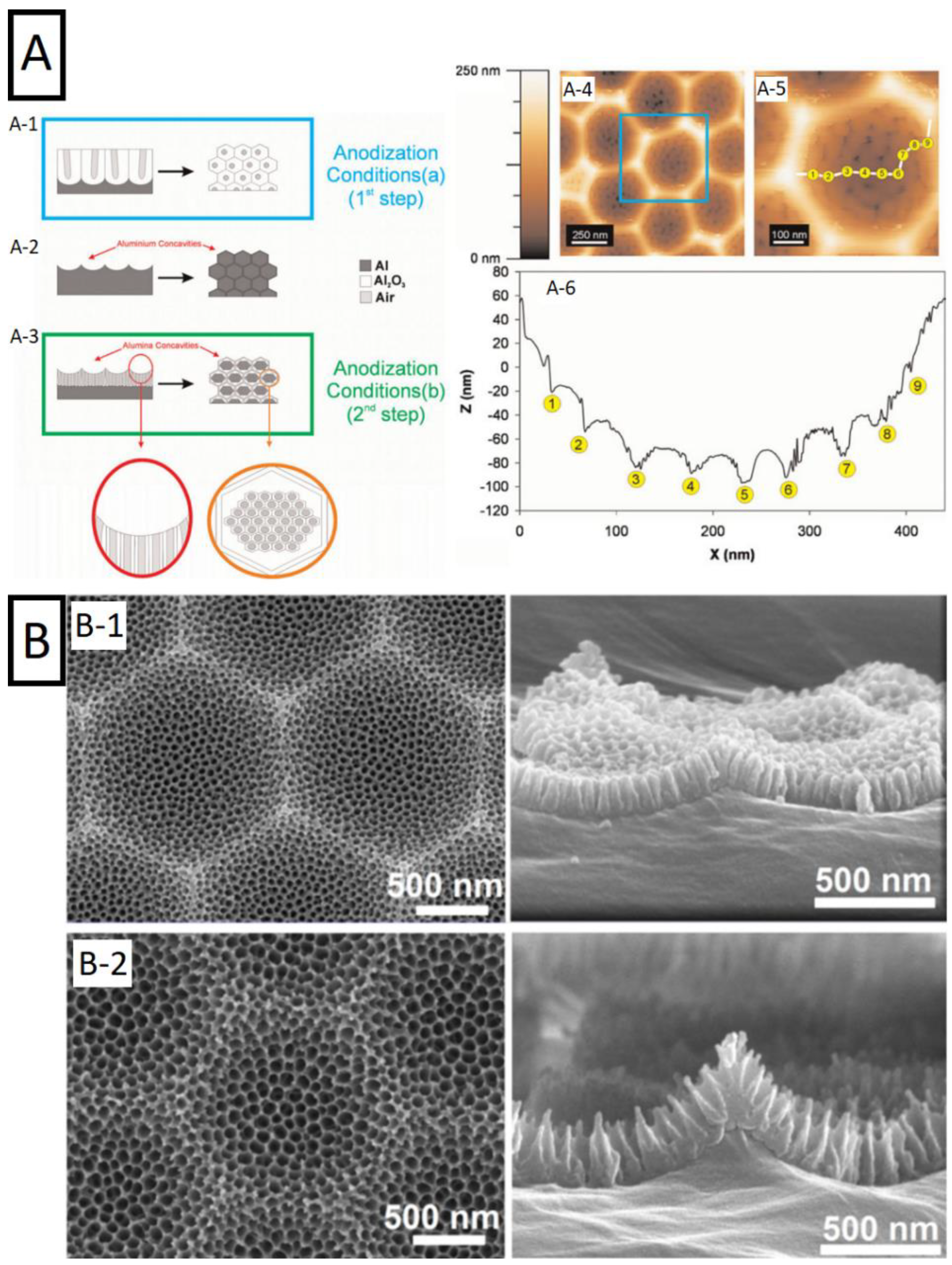Nanomaterials 11 00430 g012