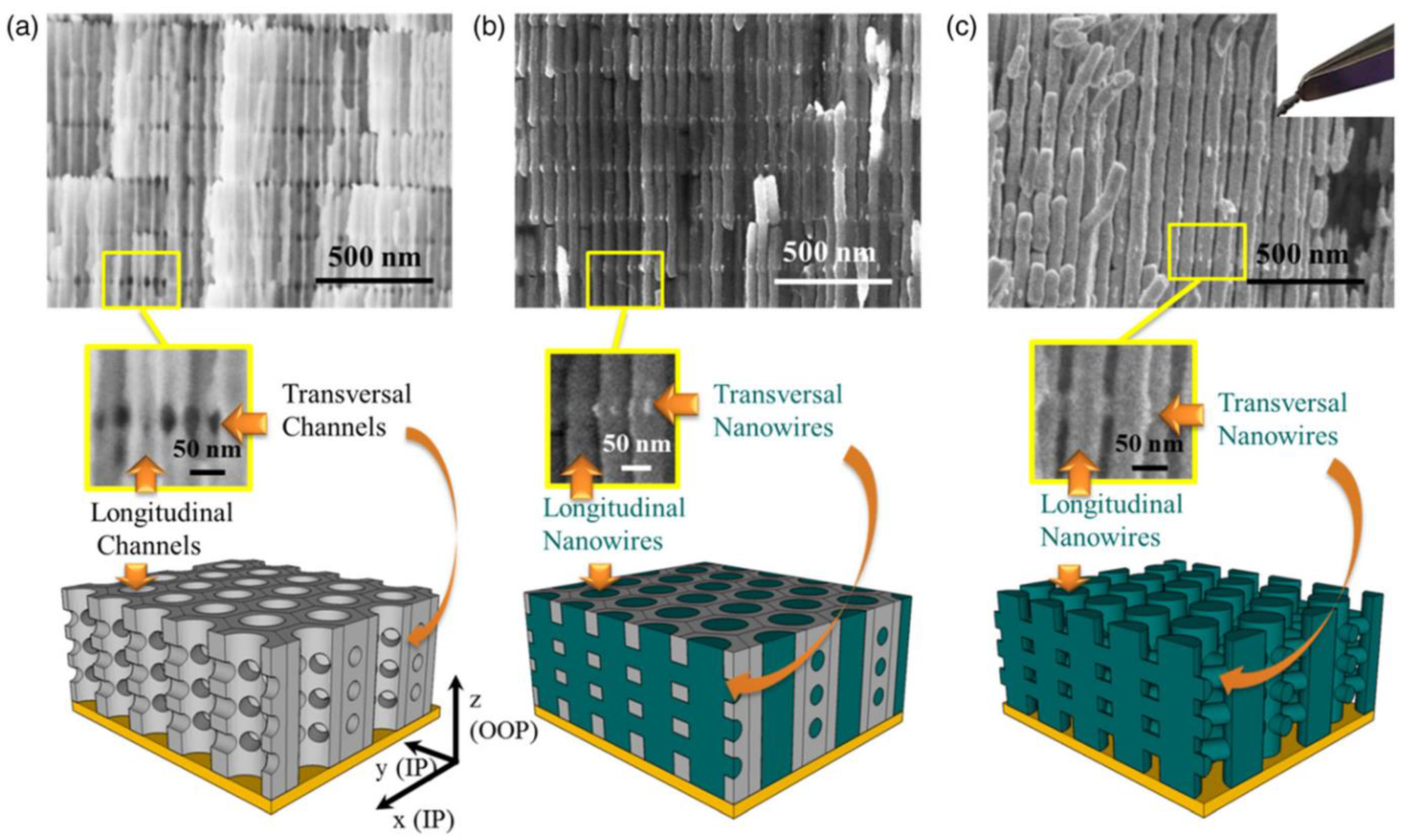 Nanomaterials 11 00430 g013