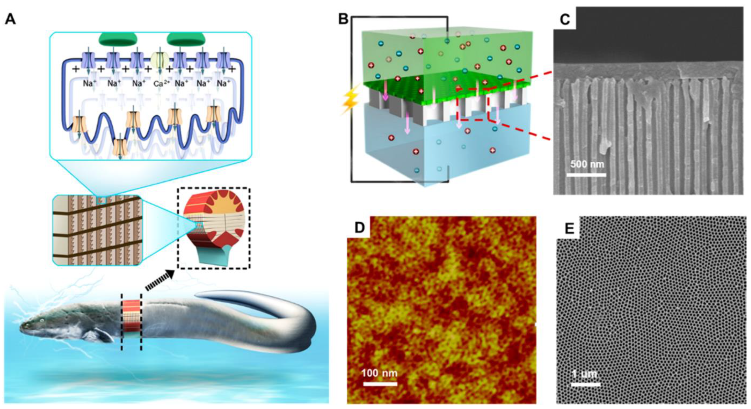 Nanomaterials 11 00430 g018