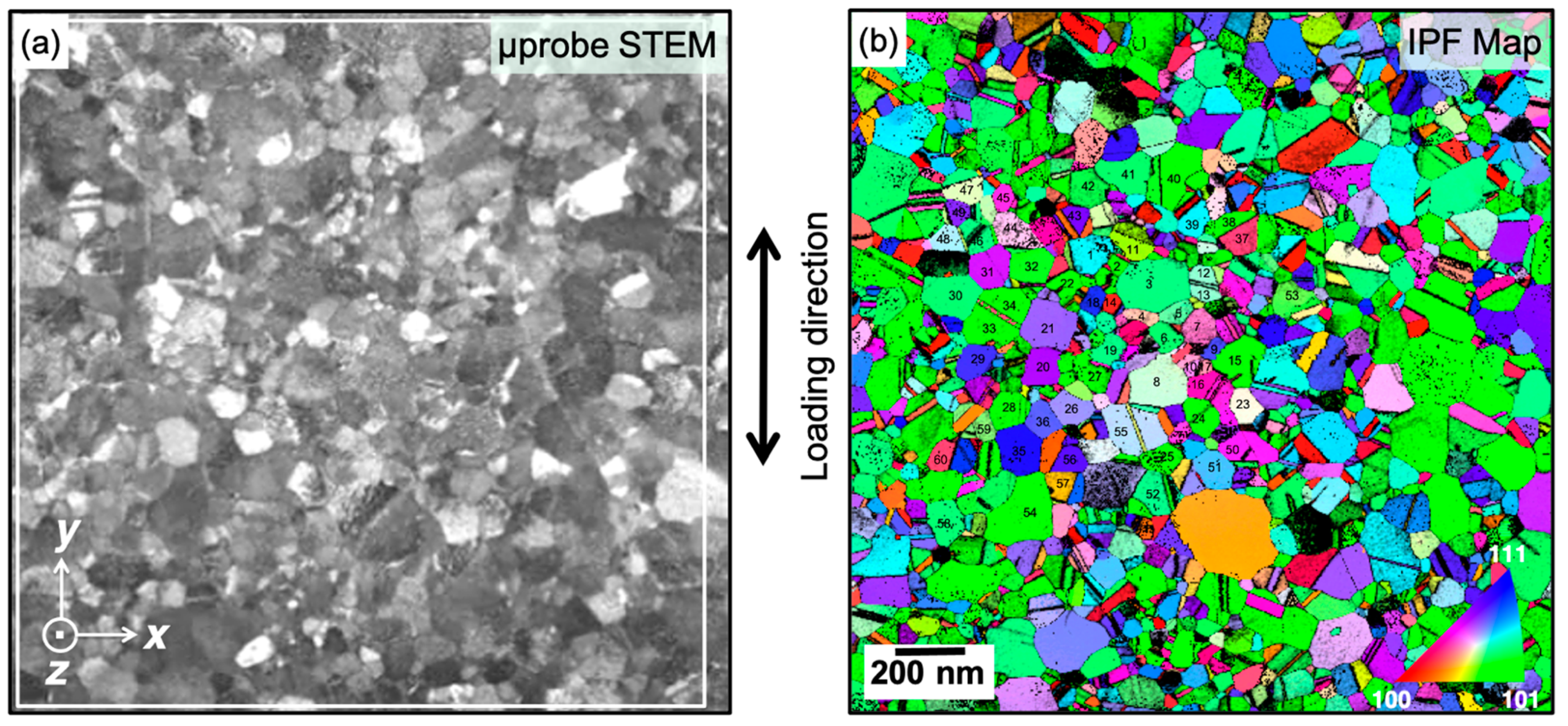 Nanomaterials 11 00432 g002 Nanomaterials 11 00432 g002