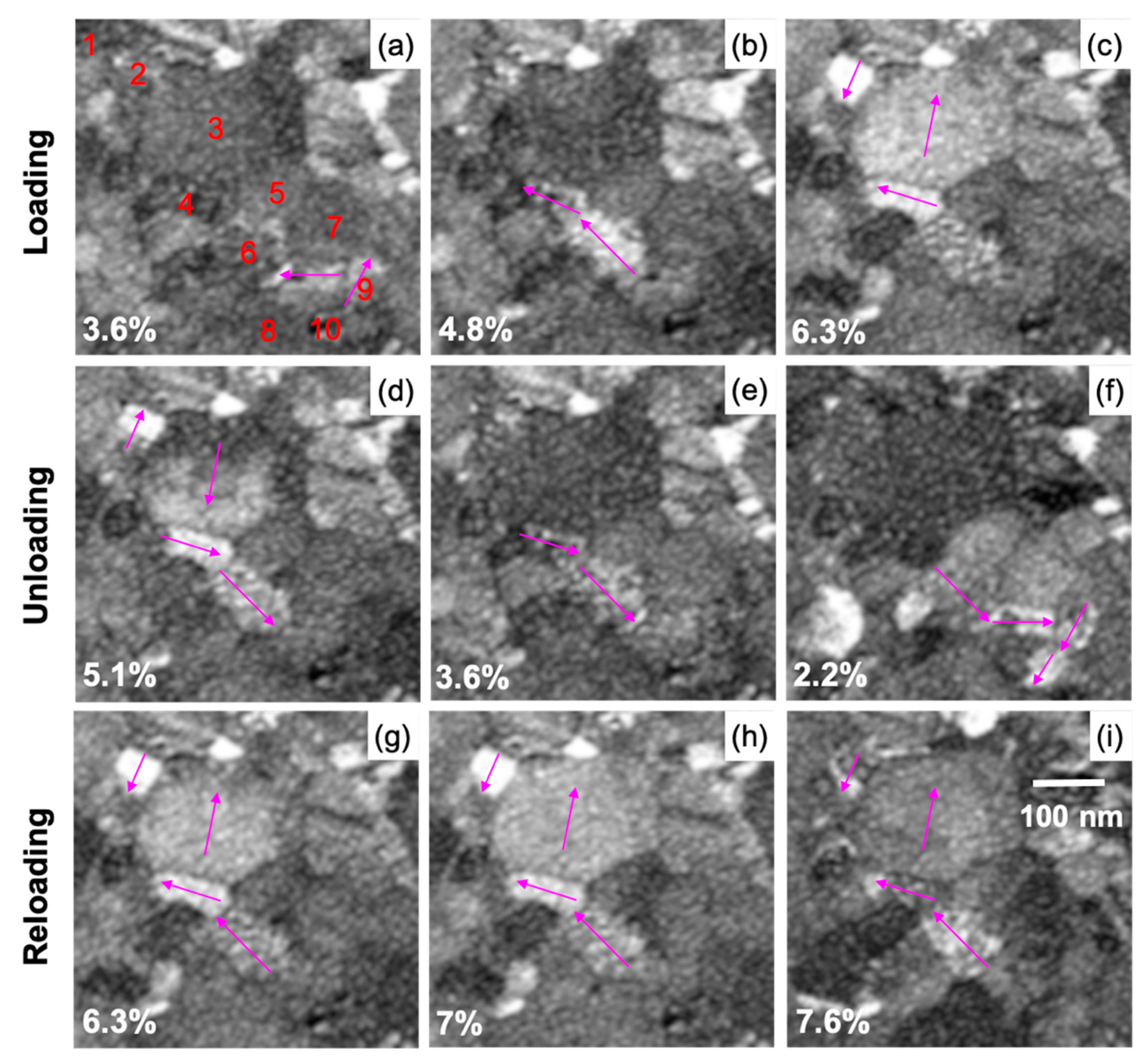 Nanomaterials 11 00432 g006 Nanomaterials 11 00432 g006