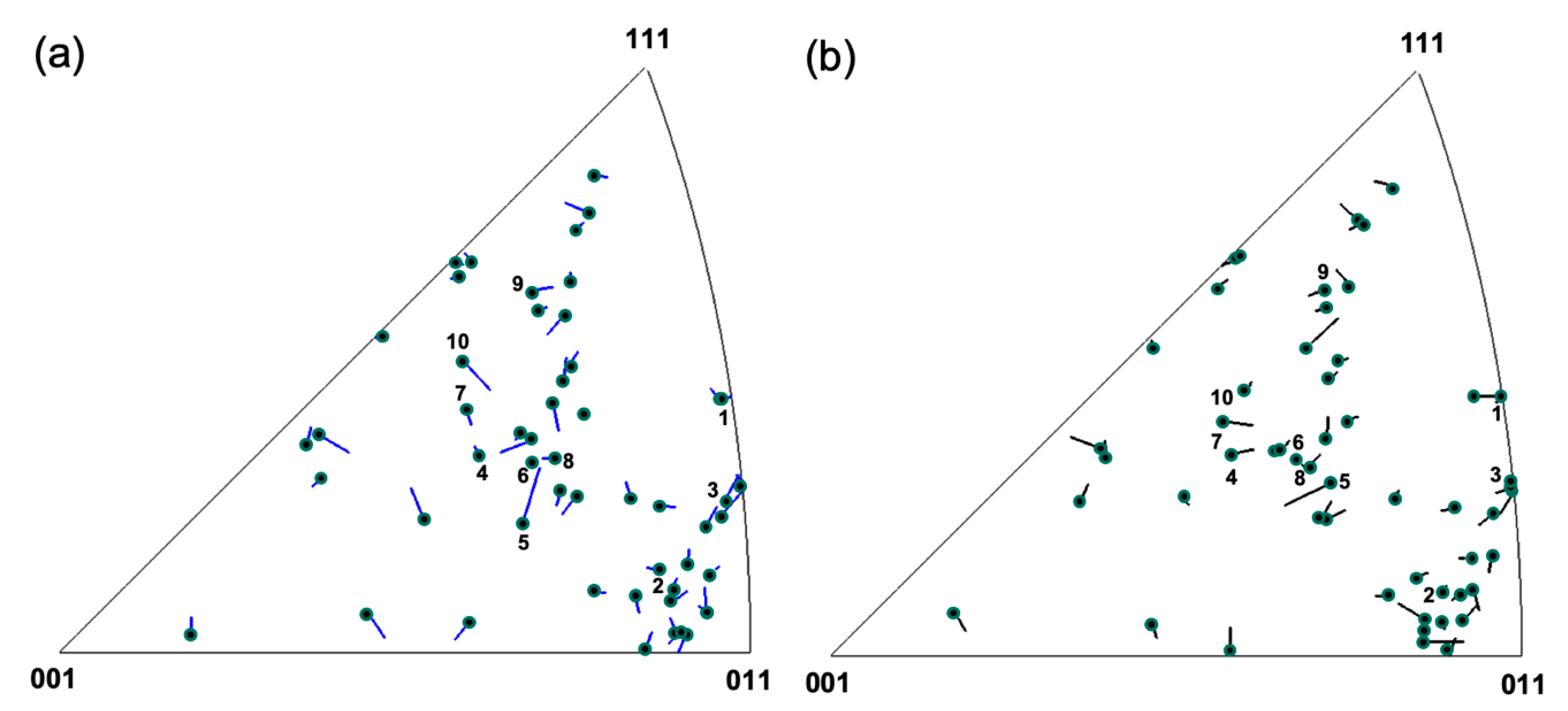 Nanomaterials 11 00432 g007 Nanomaterials 11 00432 g007