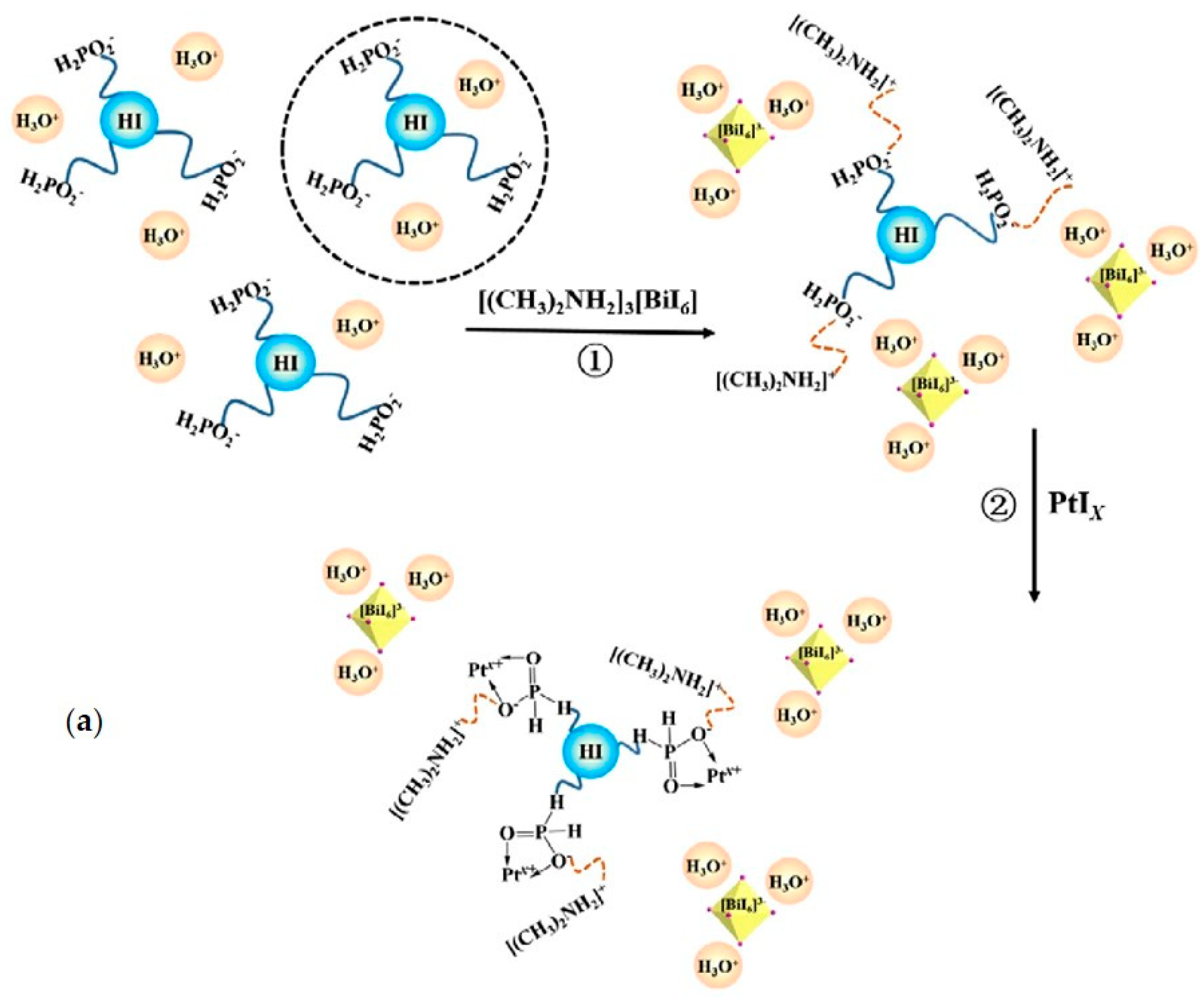 Nanomaterials 11 00433 g006a