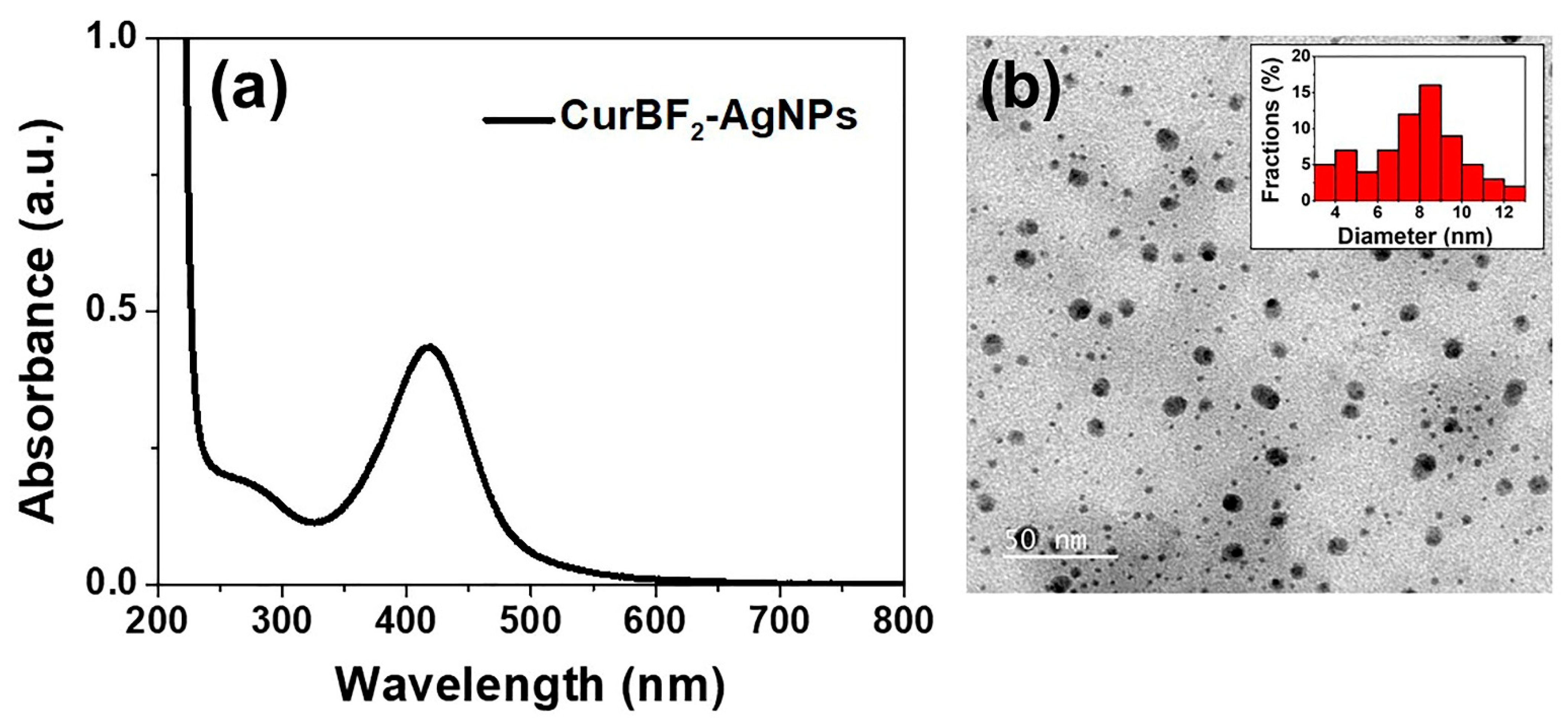 Nanomaterials 11 00442 g001
