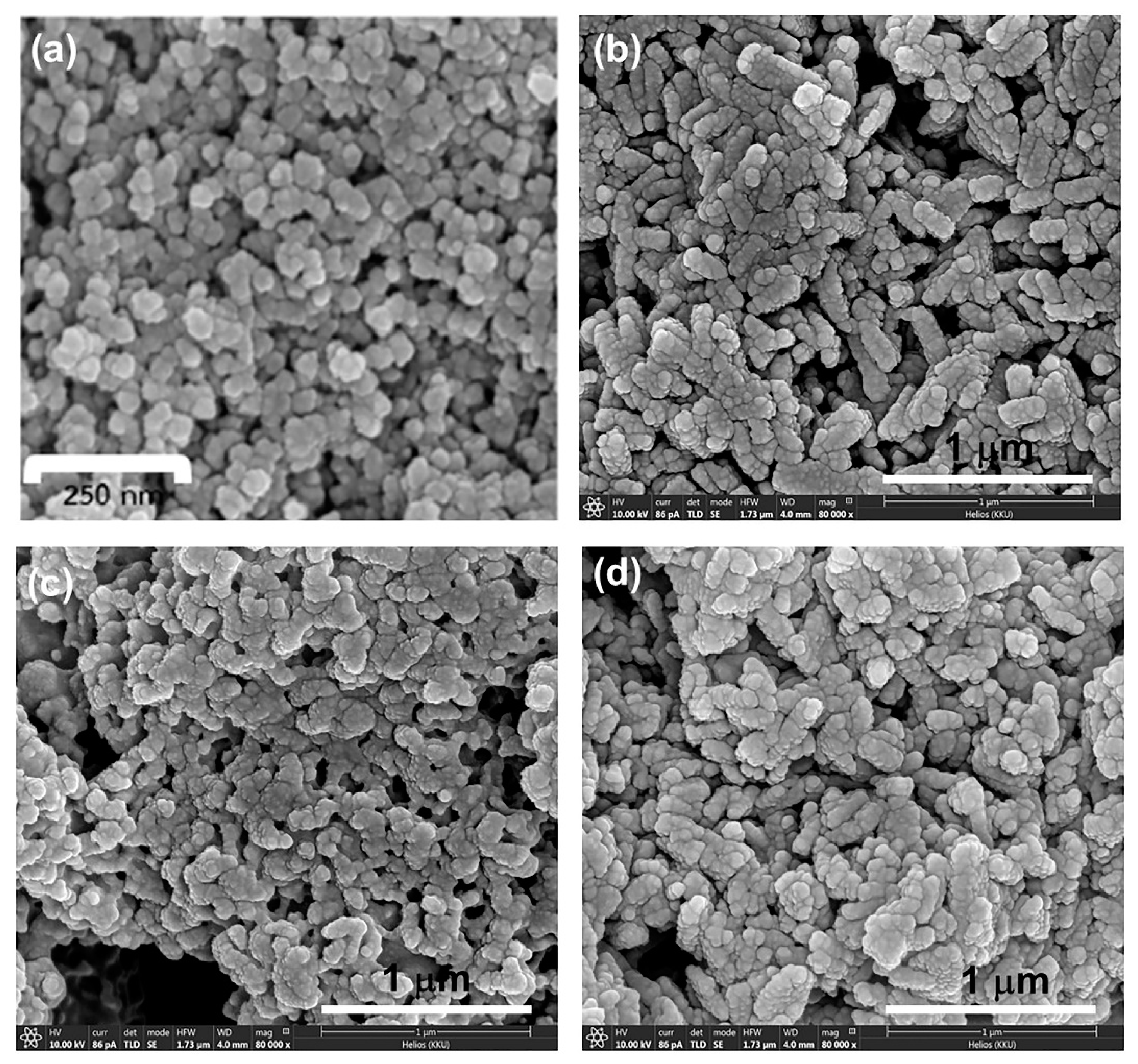 Nanomaterials 11 00442 g002