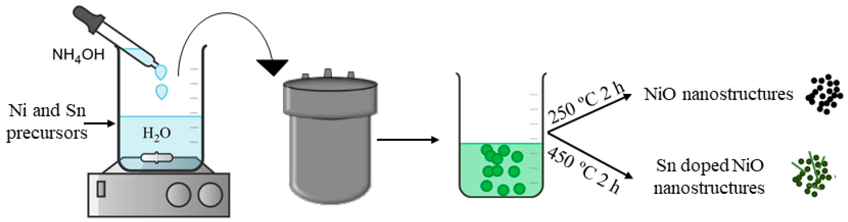 Nanomaterials 11 00444 g001 Nanomaterials 11 00444 g001