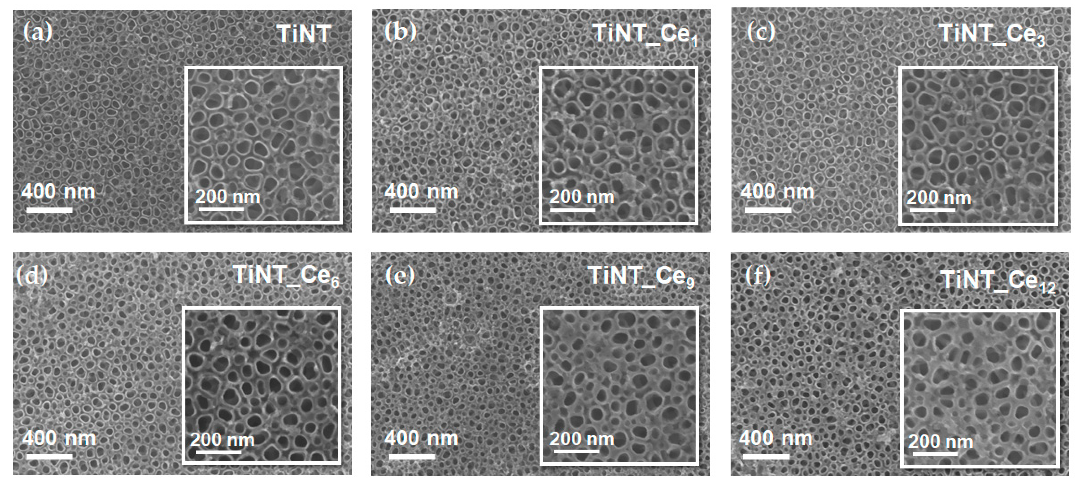 Nanomaterials 11 00445 g001