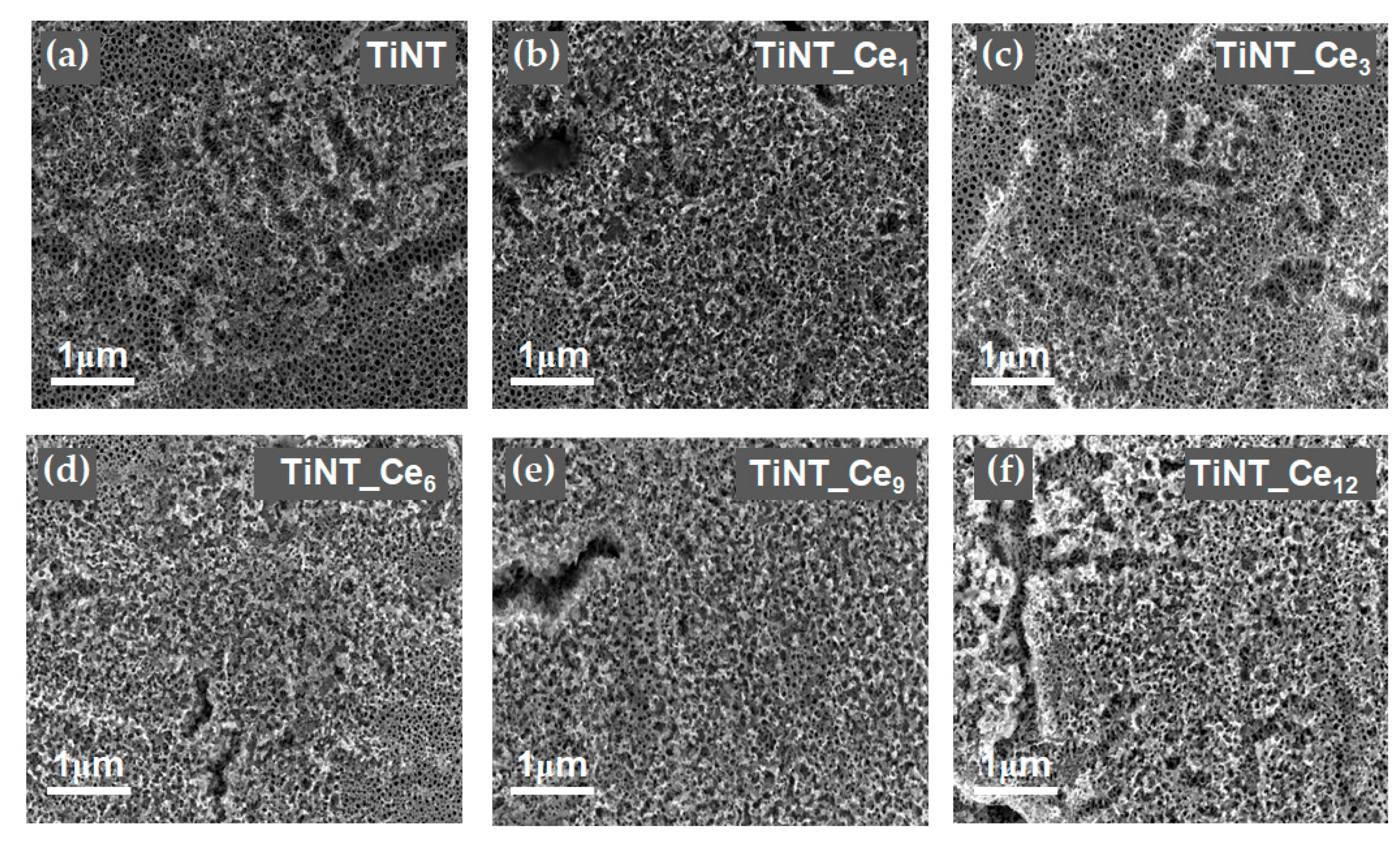 Nanomaterials 11 00445 g006