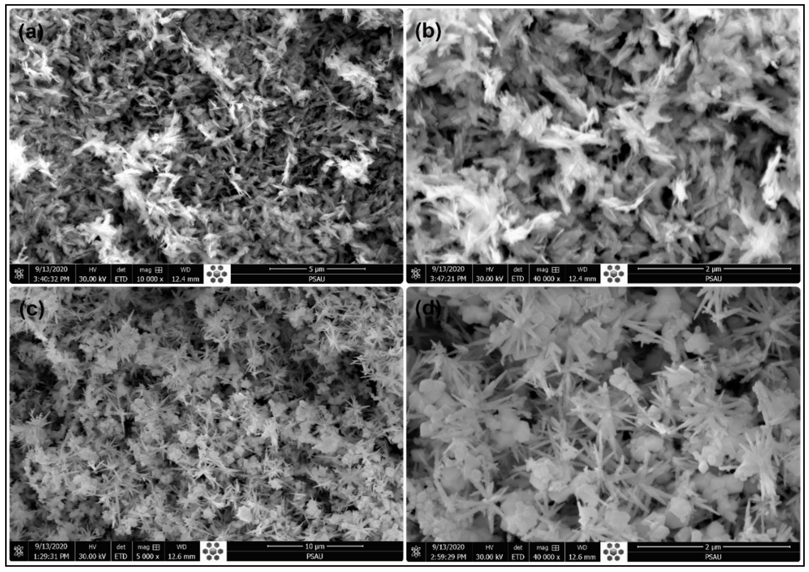 Nanomaterials 11 00451 g001