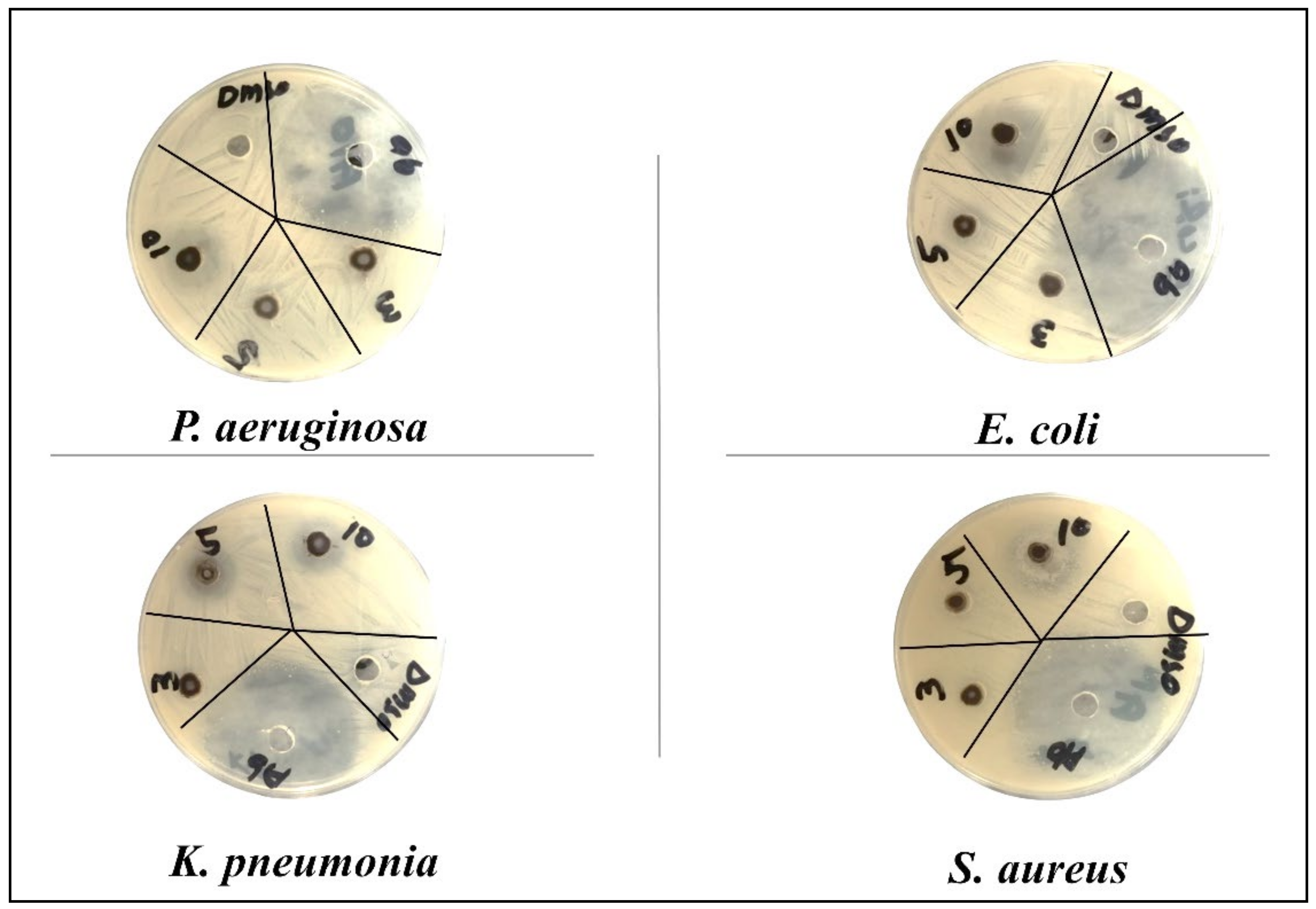 Nanomaterials 11 00451 g008