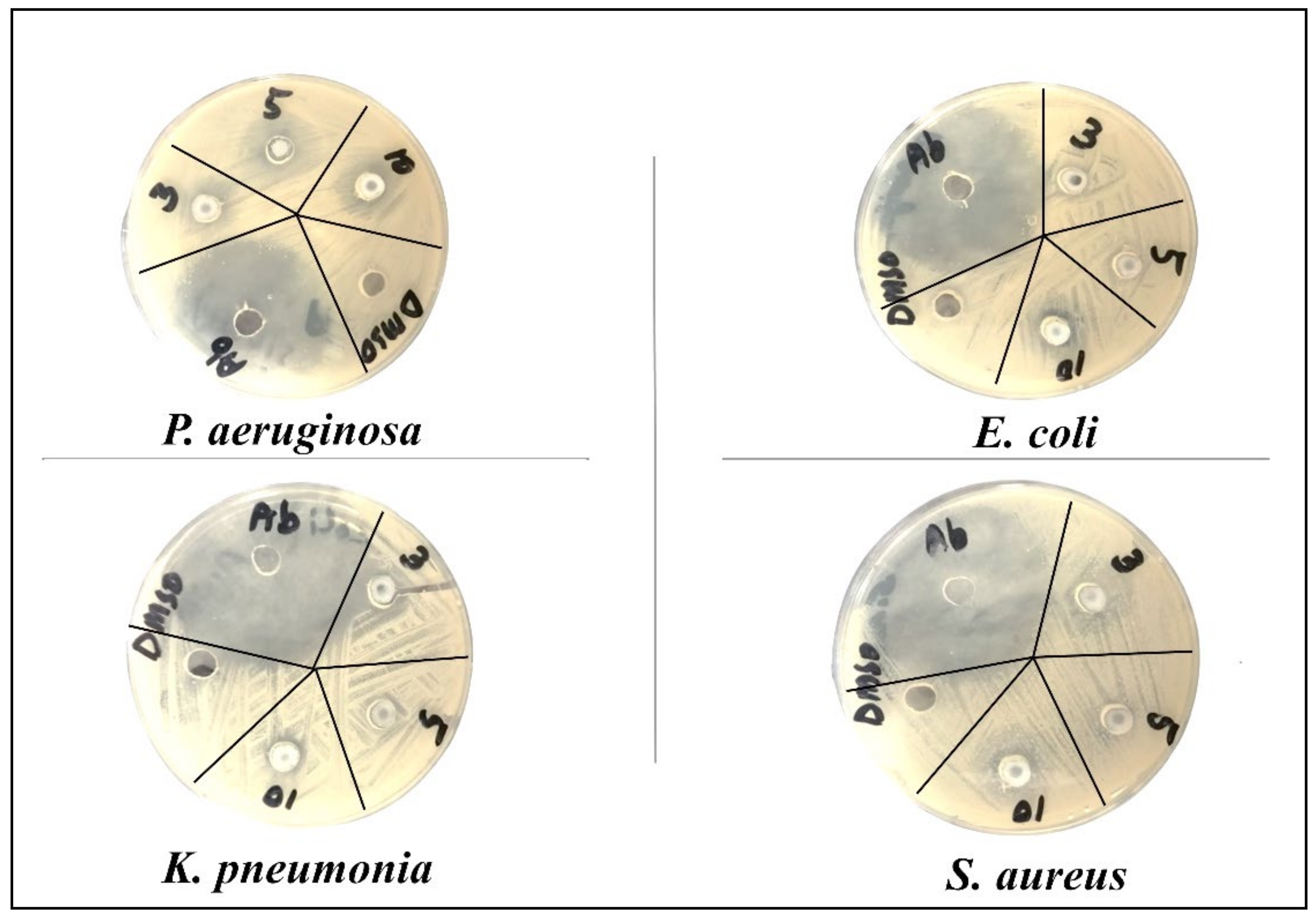 Nanomaterials 11 00451 g009