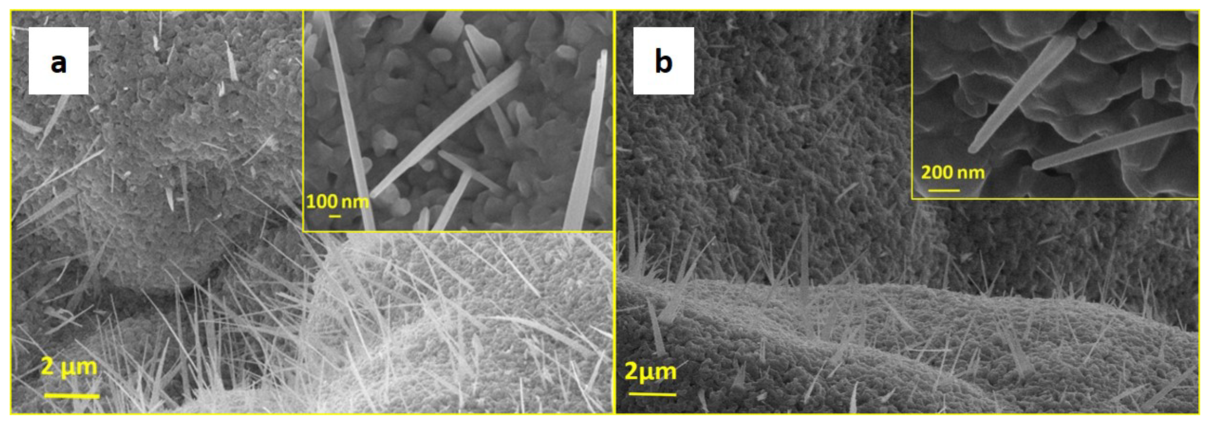 Nanomaterials 11 00475 g001