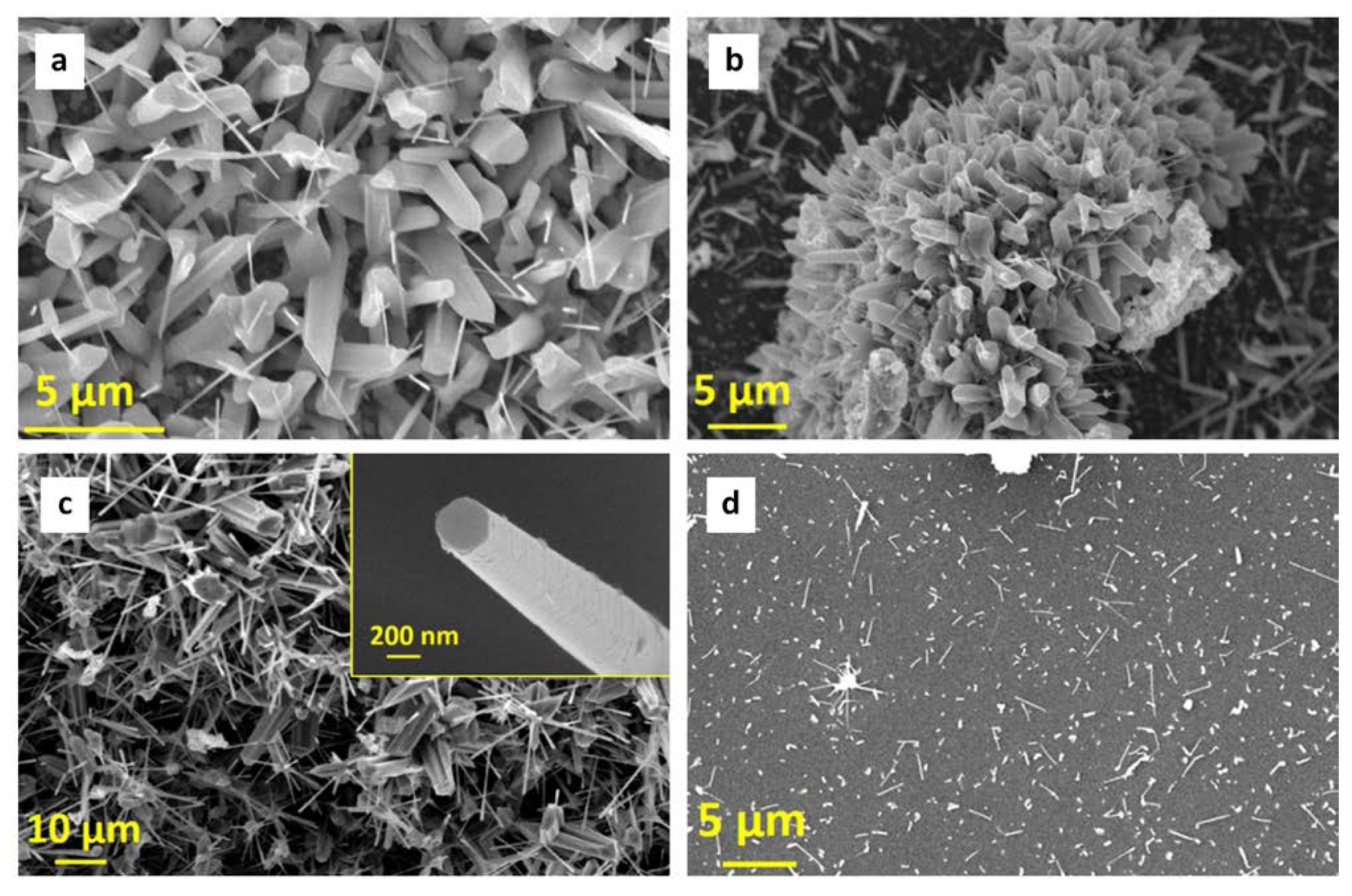 Nanomaterials 11 00475 g002