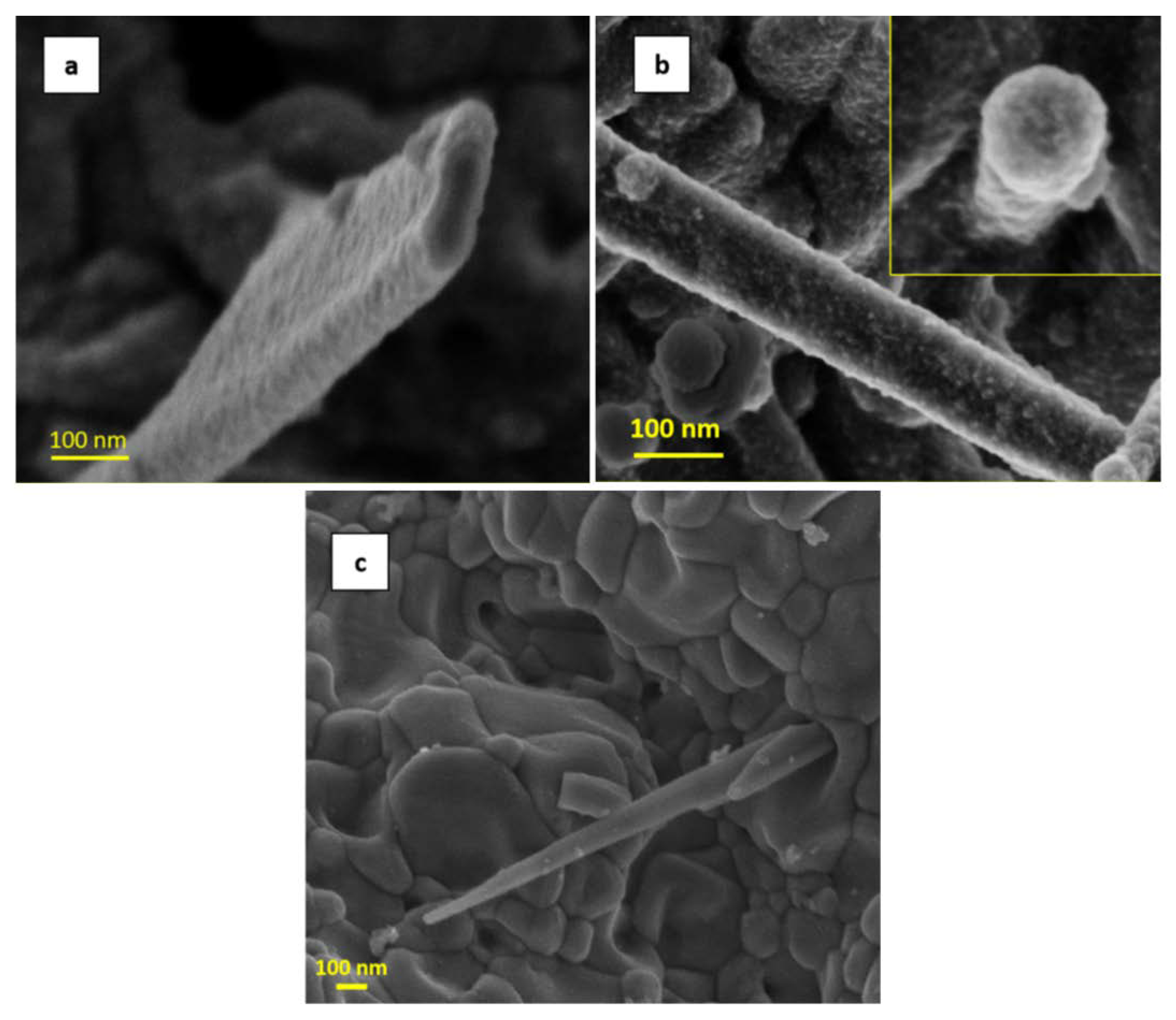 Nanomaterials 11 00475 g003