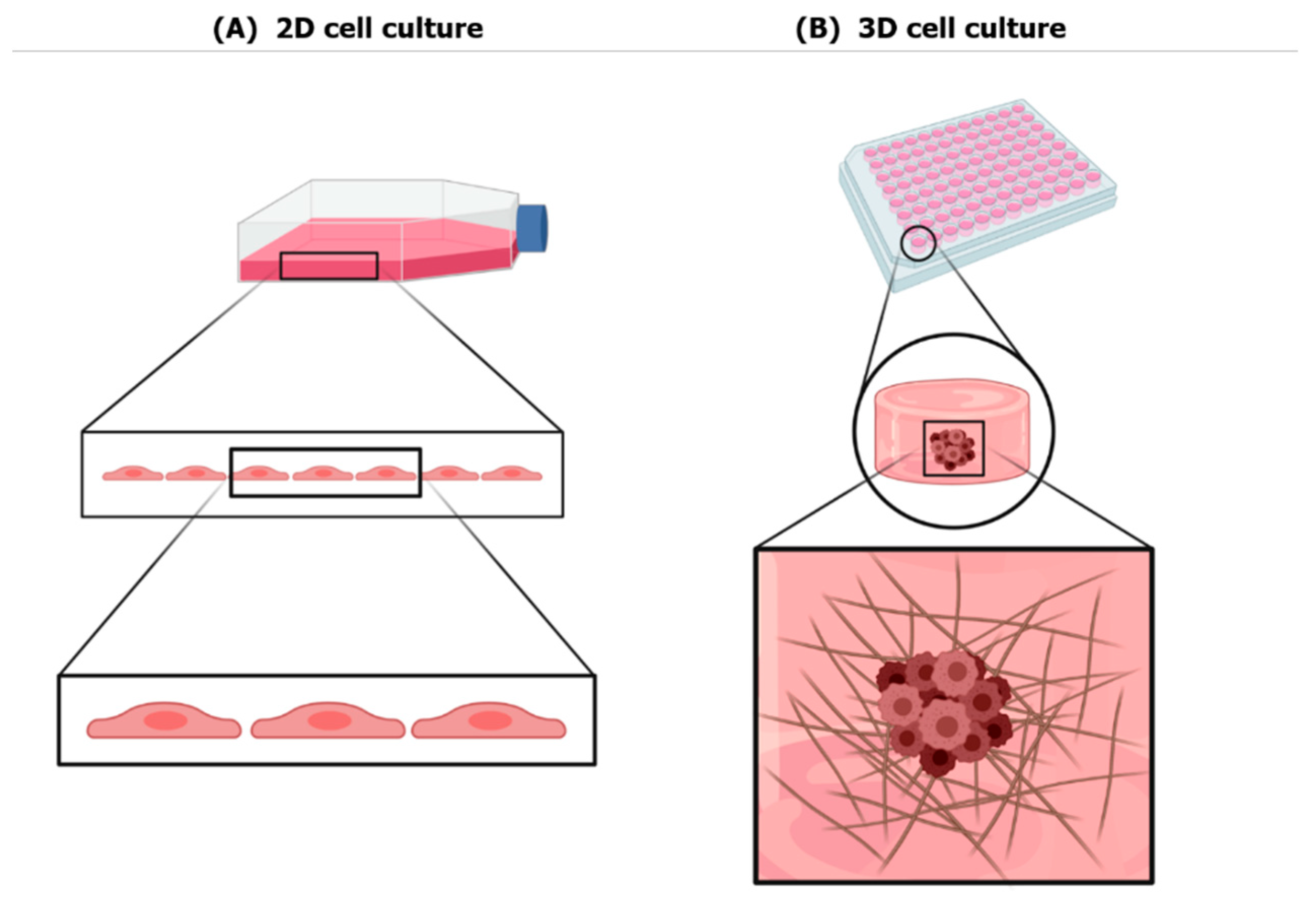 Nanomaterials 11 00481 g001
