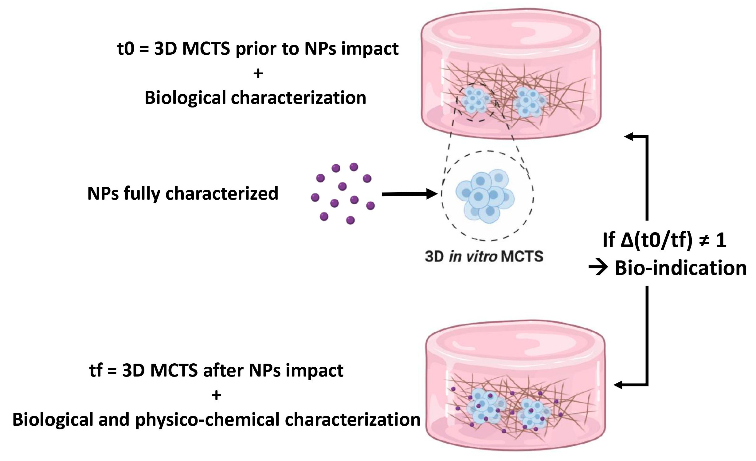 Nanomaterials 11 00481 g004