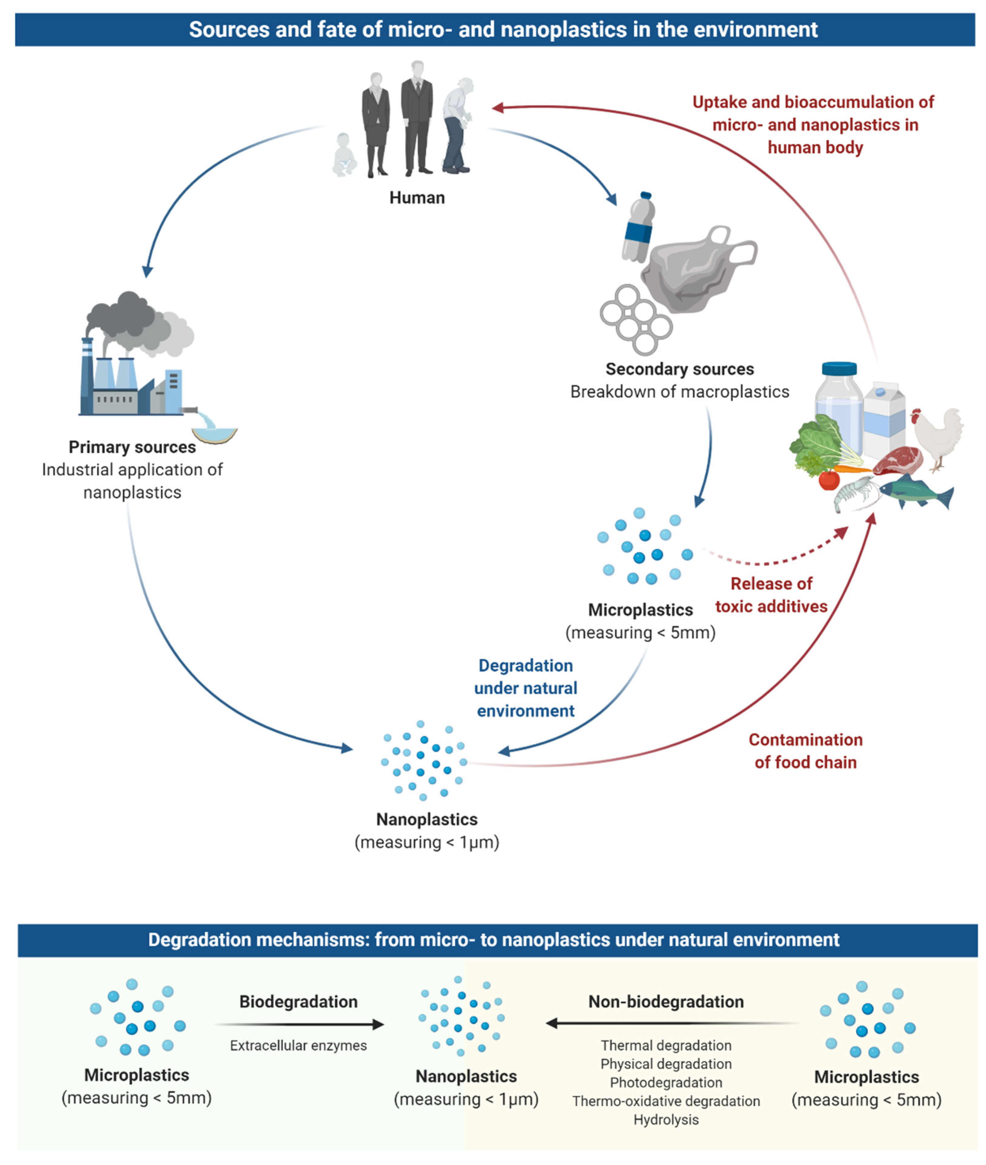 Nanomaterials 11 00496 g001 Nanomaterials 11 00496 g001