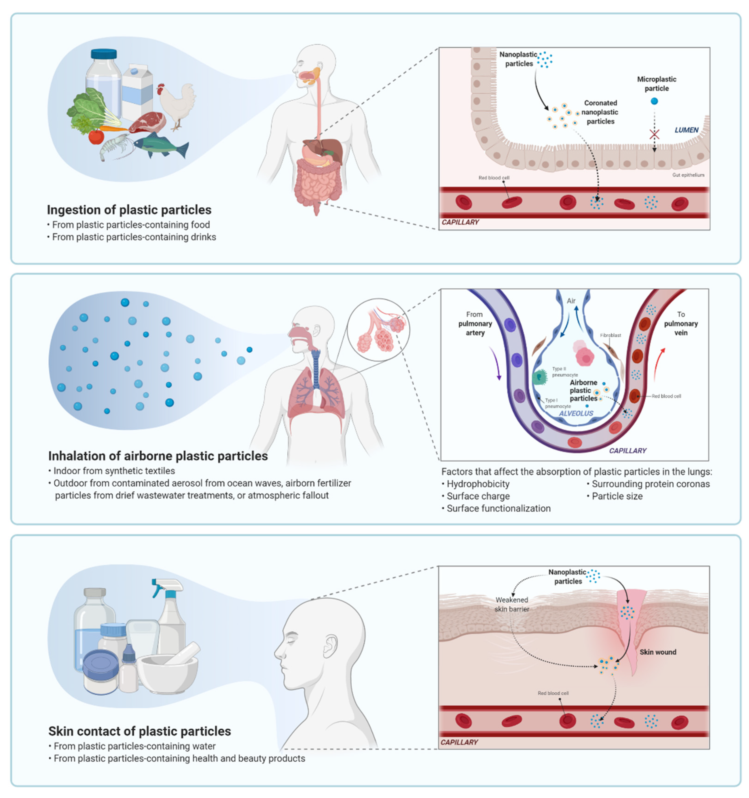 Nanomaterials 11 00496 g002 Nanomaterials 11 00496 g002