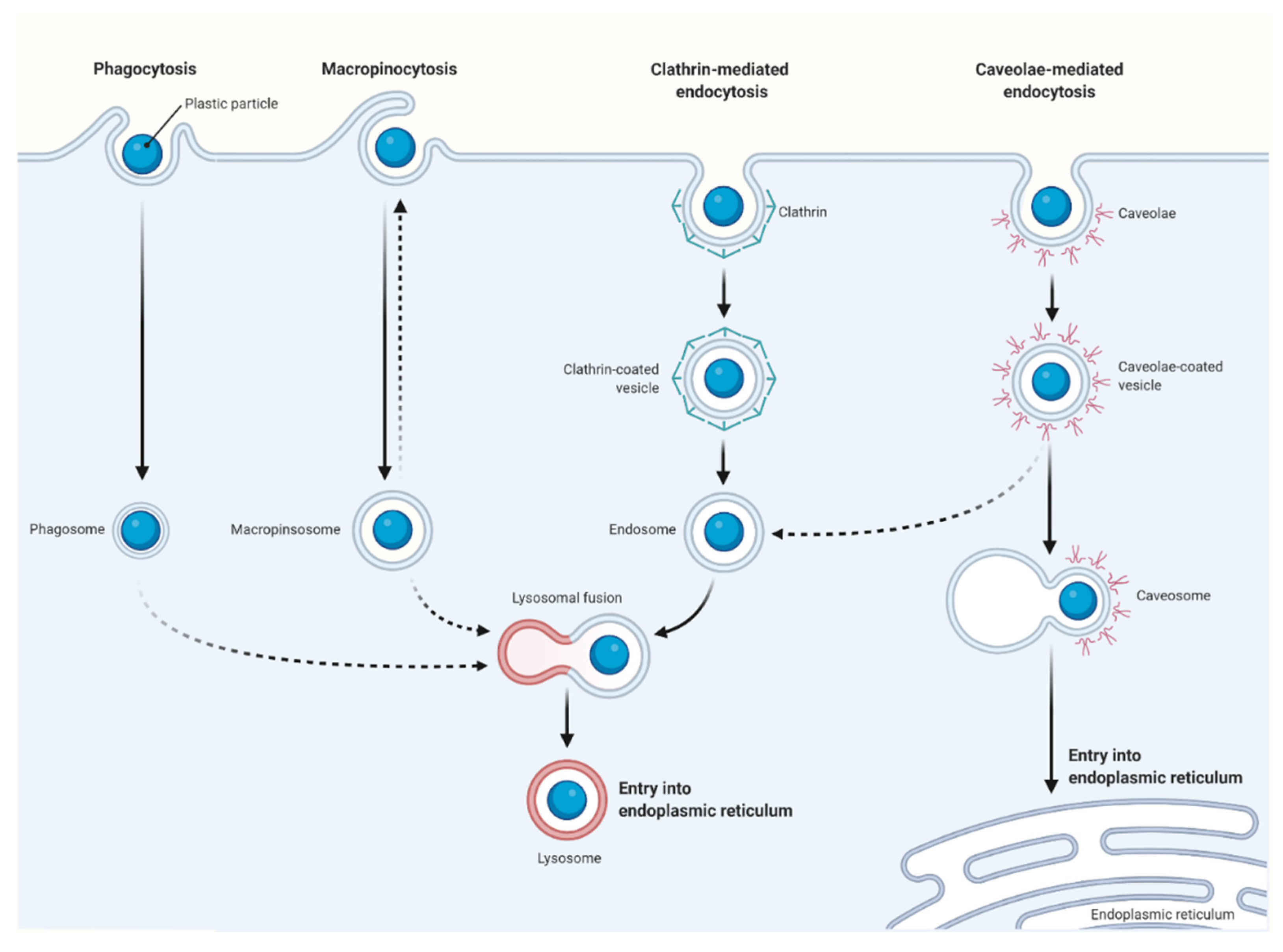 Nanomaterials 11 00496 g003 Nanomaterials 11 00496 g003