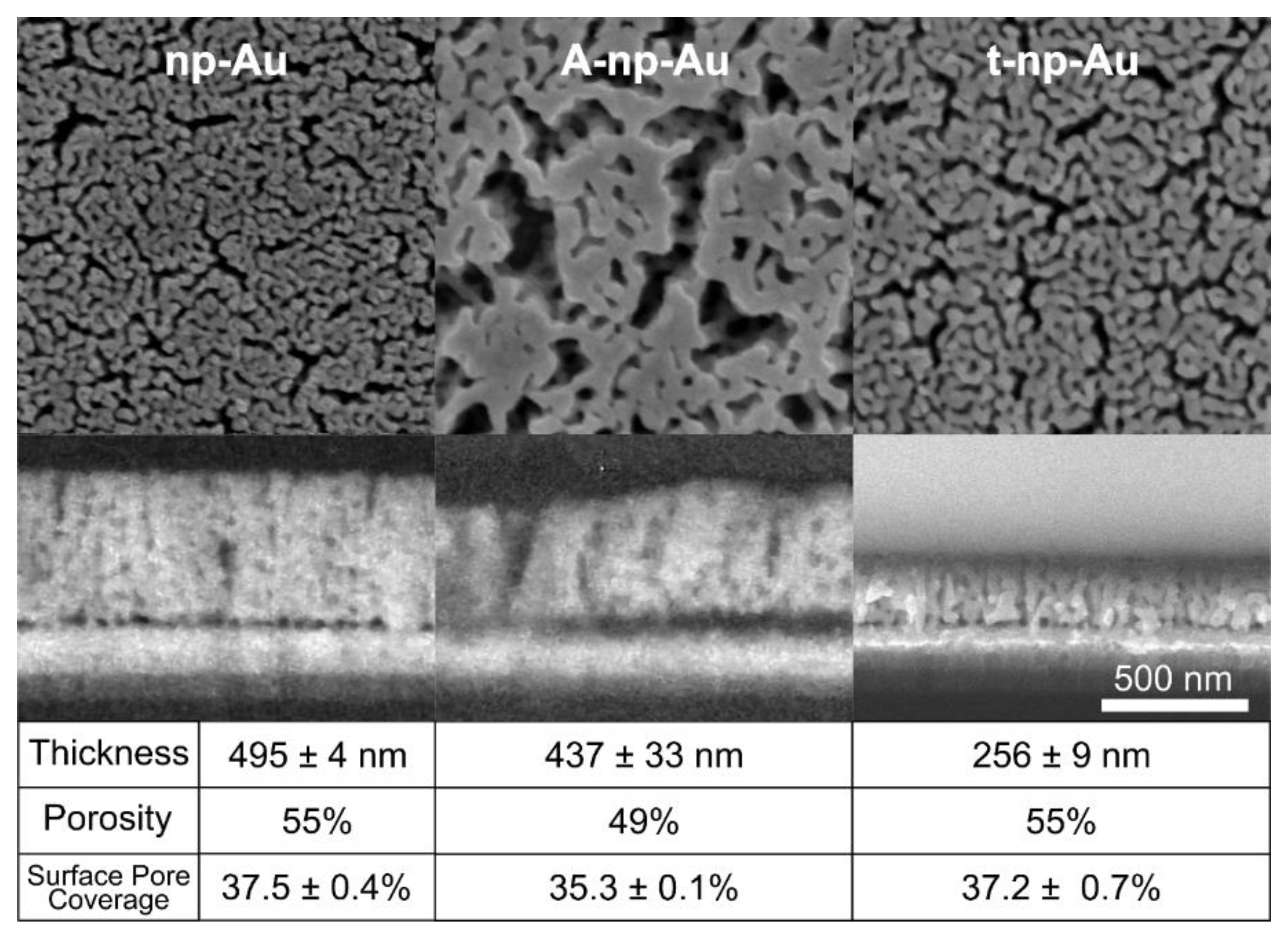 Nanomaterials 11 00498 g002 Nanomaterials 11 00498 g002